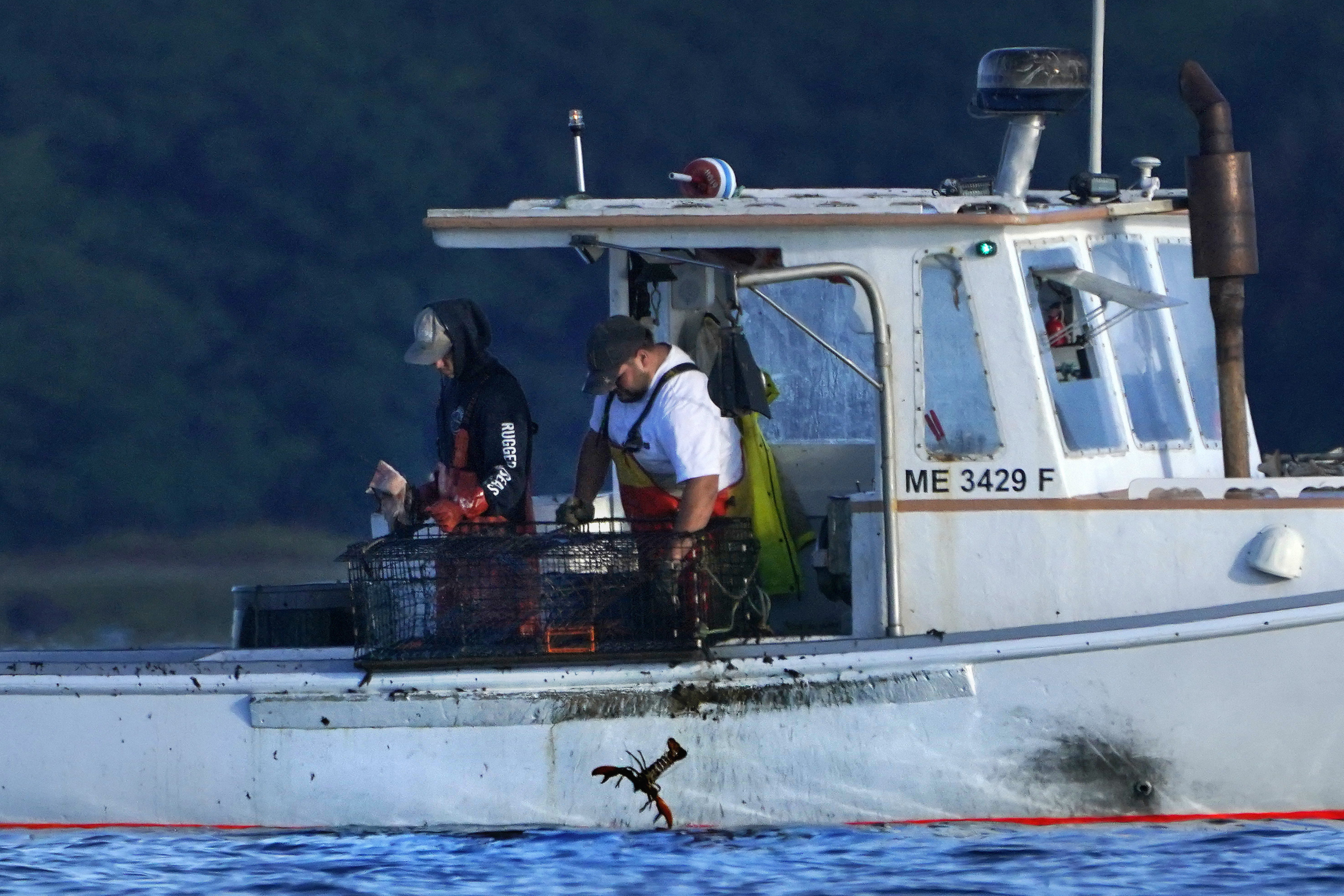 Lobster fishers sue to block monitoring laws designed to help save a rare  whale - The Boston Globe