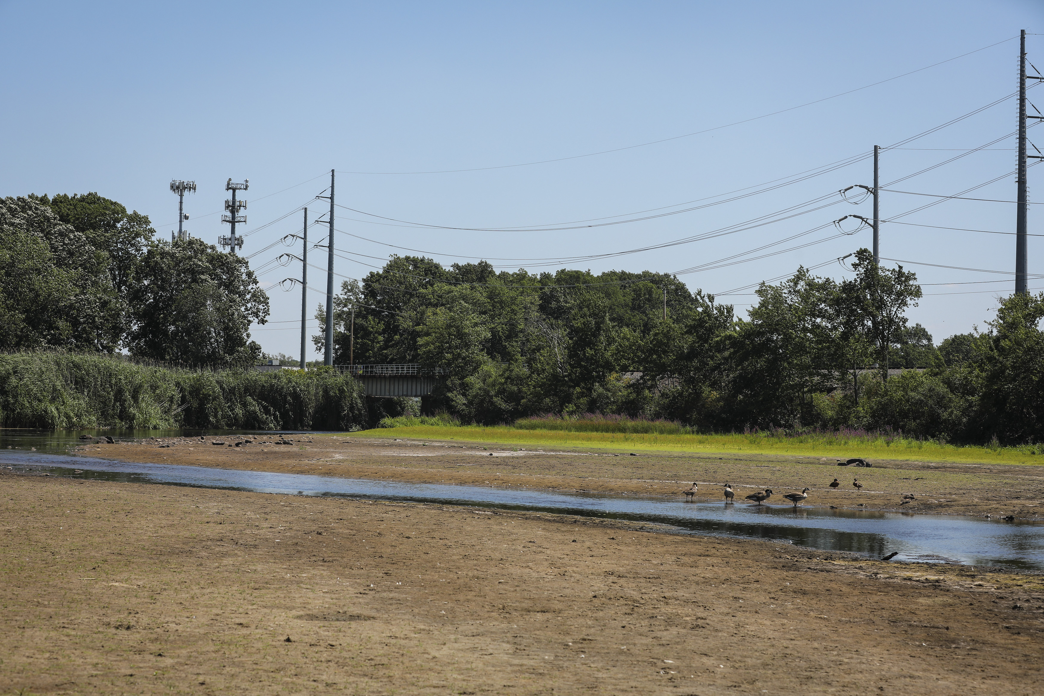 Massachusetts Drought: Charles River Dry in Some Areas – NBC Boston