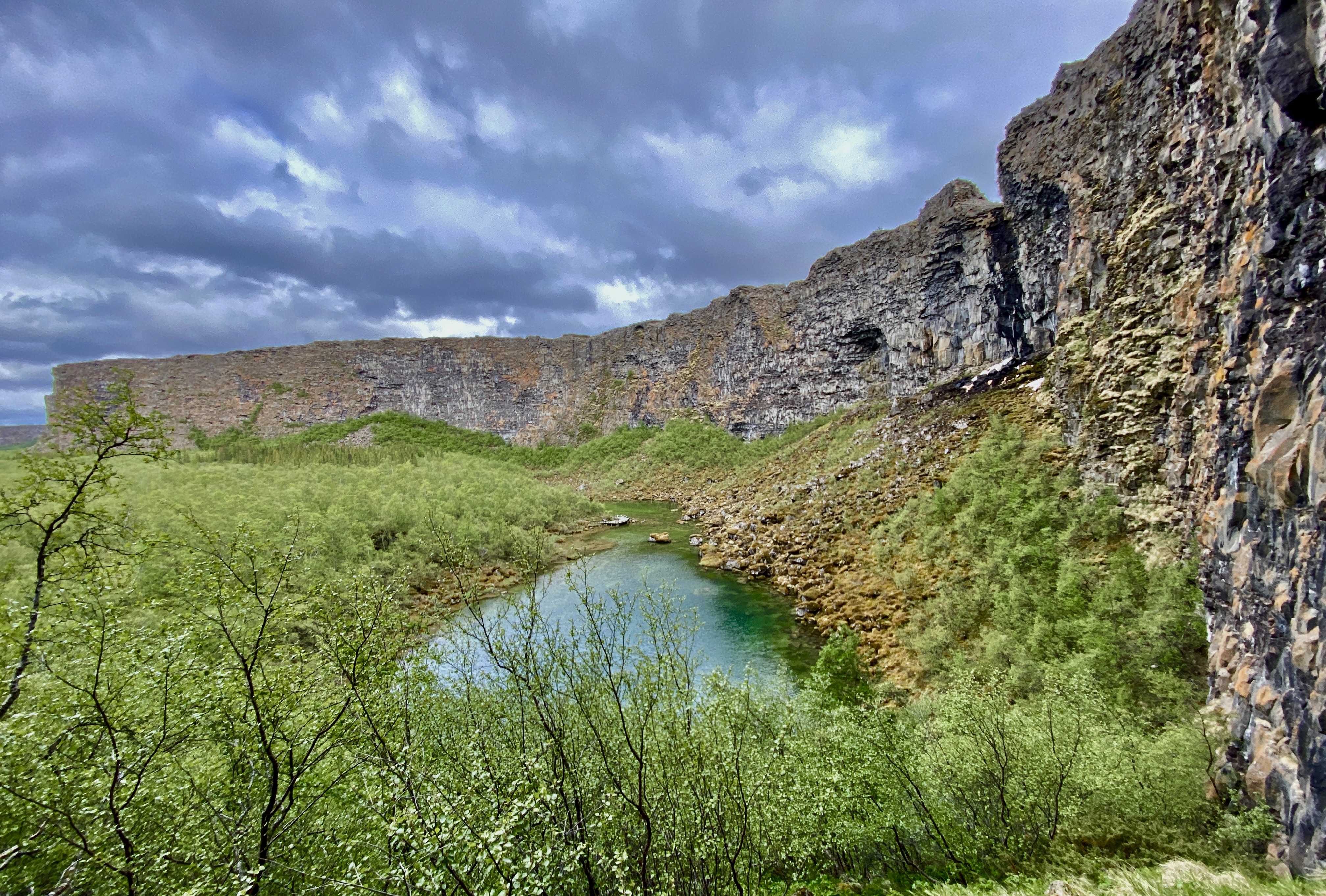 The view down into the trees of Ásbyrgi Canyon in northern Iceland.