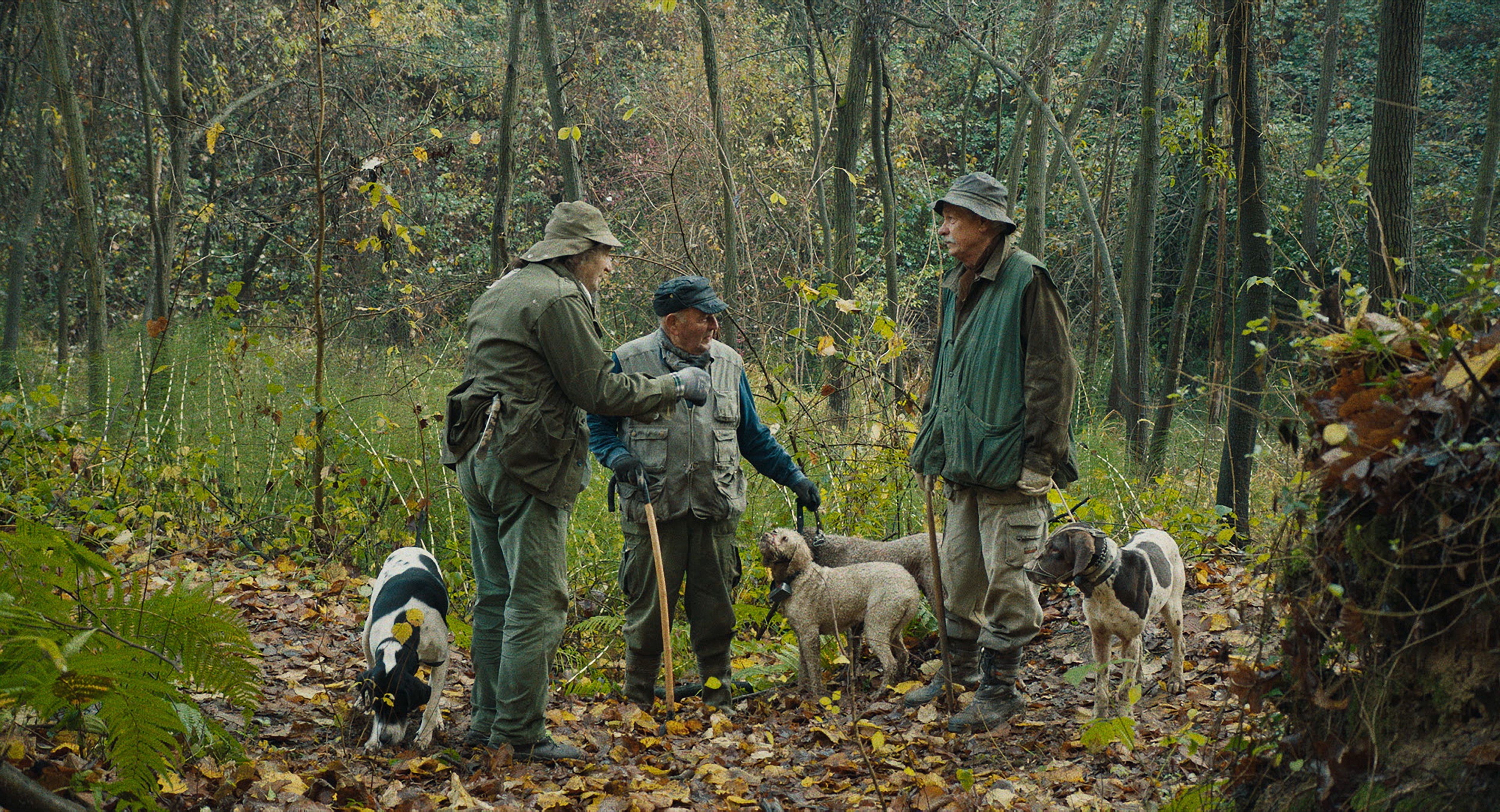 A scene from "The Truffle Hunters."