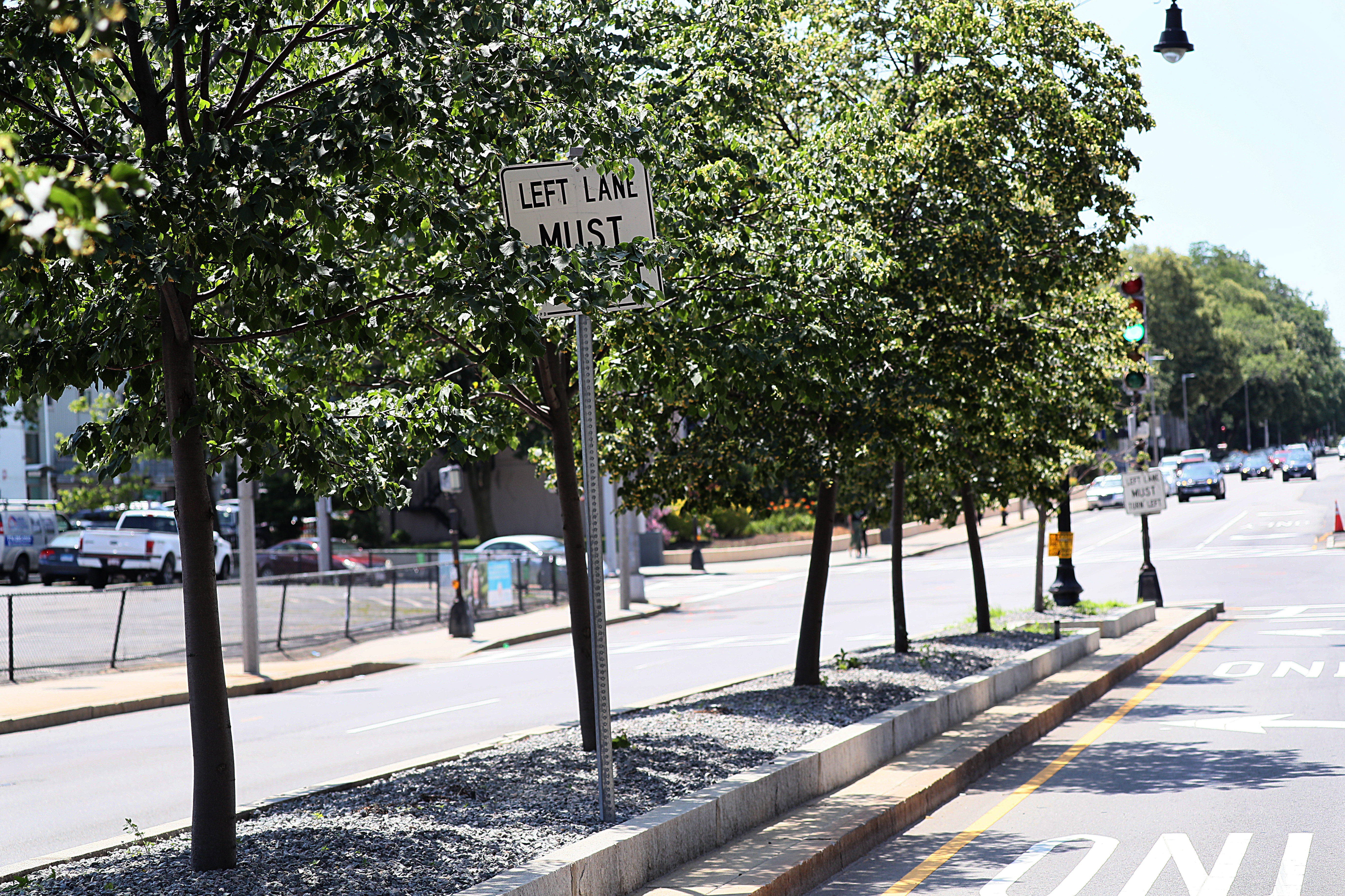 Trees planted along Columbus Avenue.