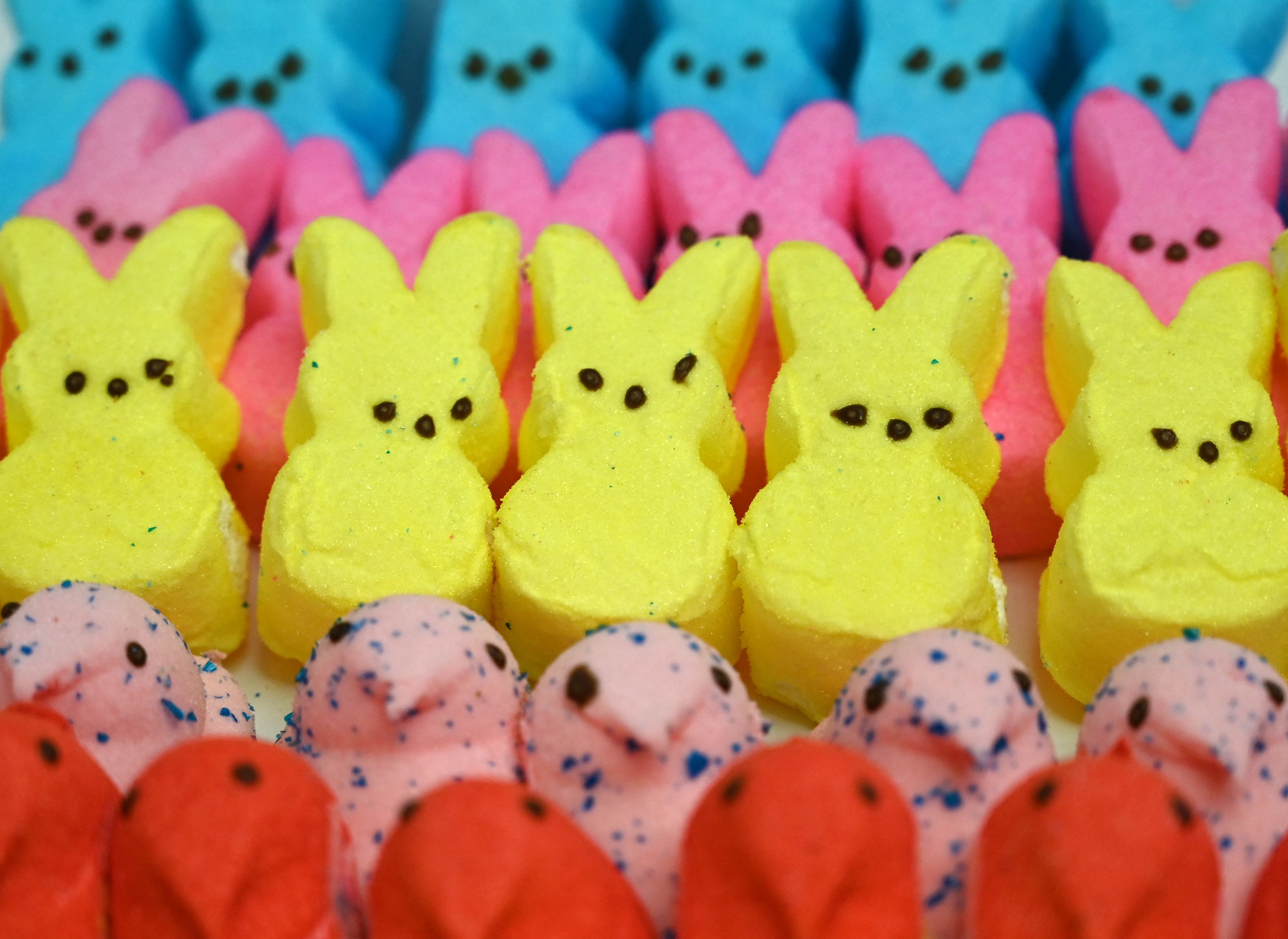 If Hollywood has its way, these Peeps marshmallow candies may be future movie stars.