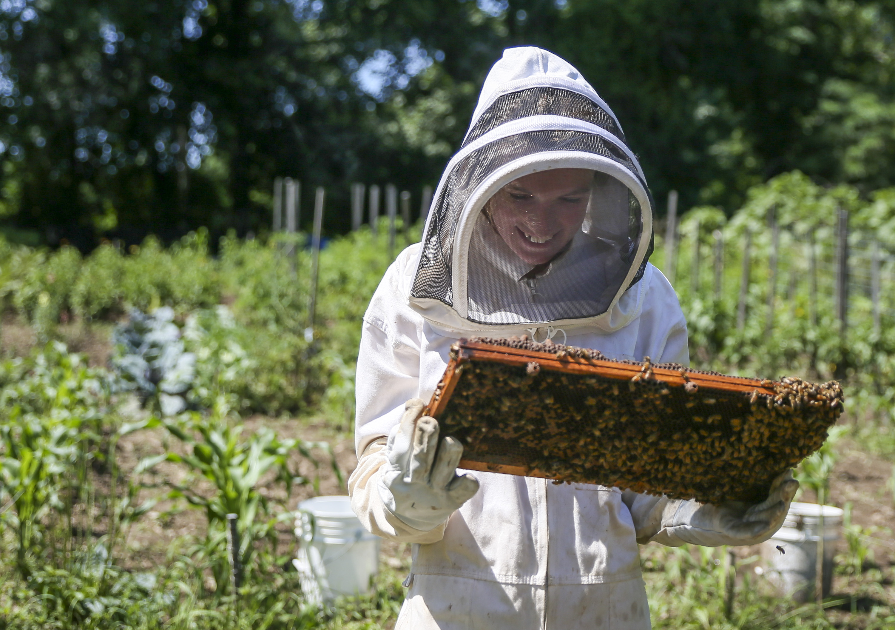 100% Pure Beeswax Brick - Queen Bee Gardens