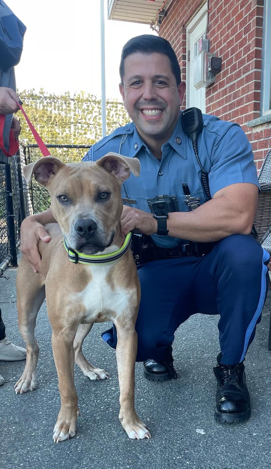A pitbull-mix was rescued by State Police after the dog's owner abandoned it on a Revere beach.