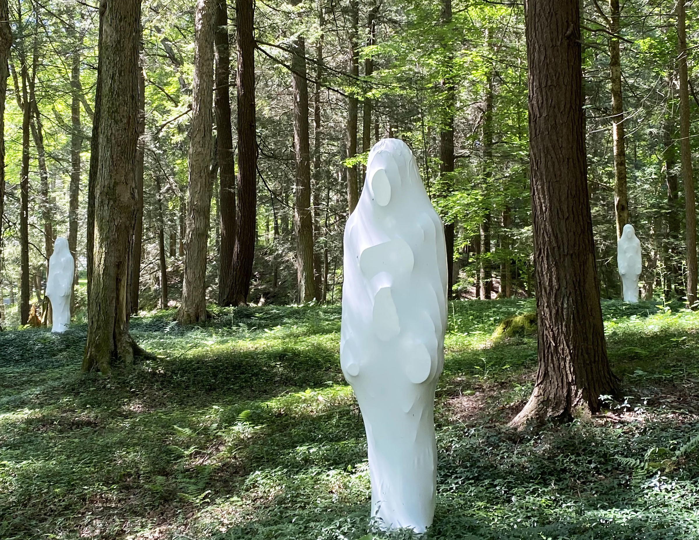 Eliza Evans's "Artefactual."