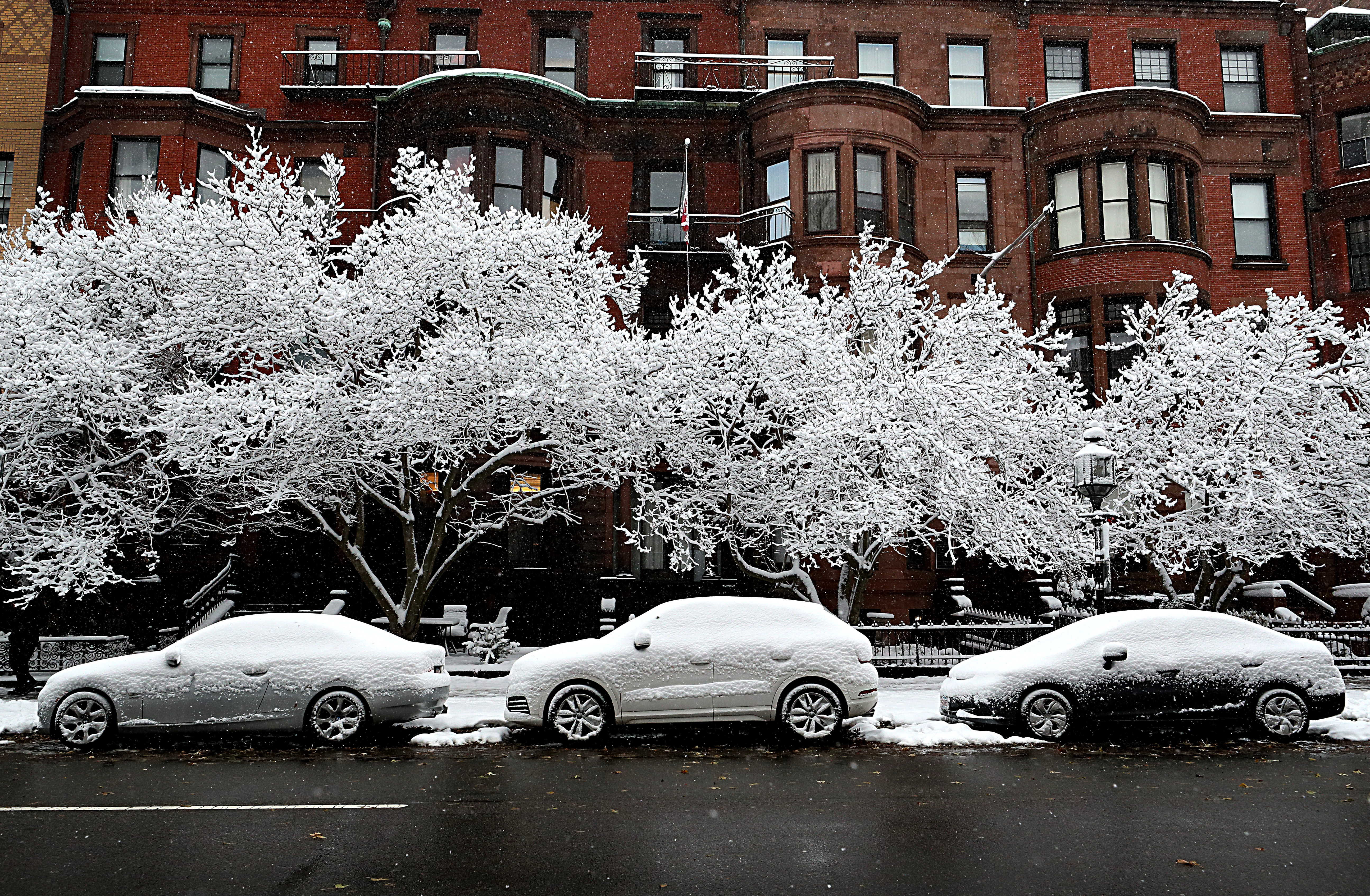 A snowstorm coated cars and trees on Commonwealth Avenue in Boston on Dec. 3.