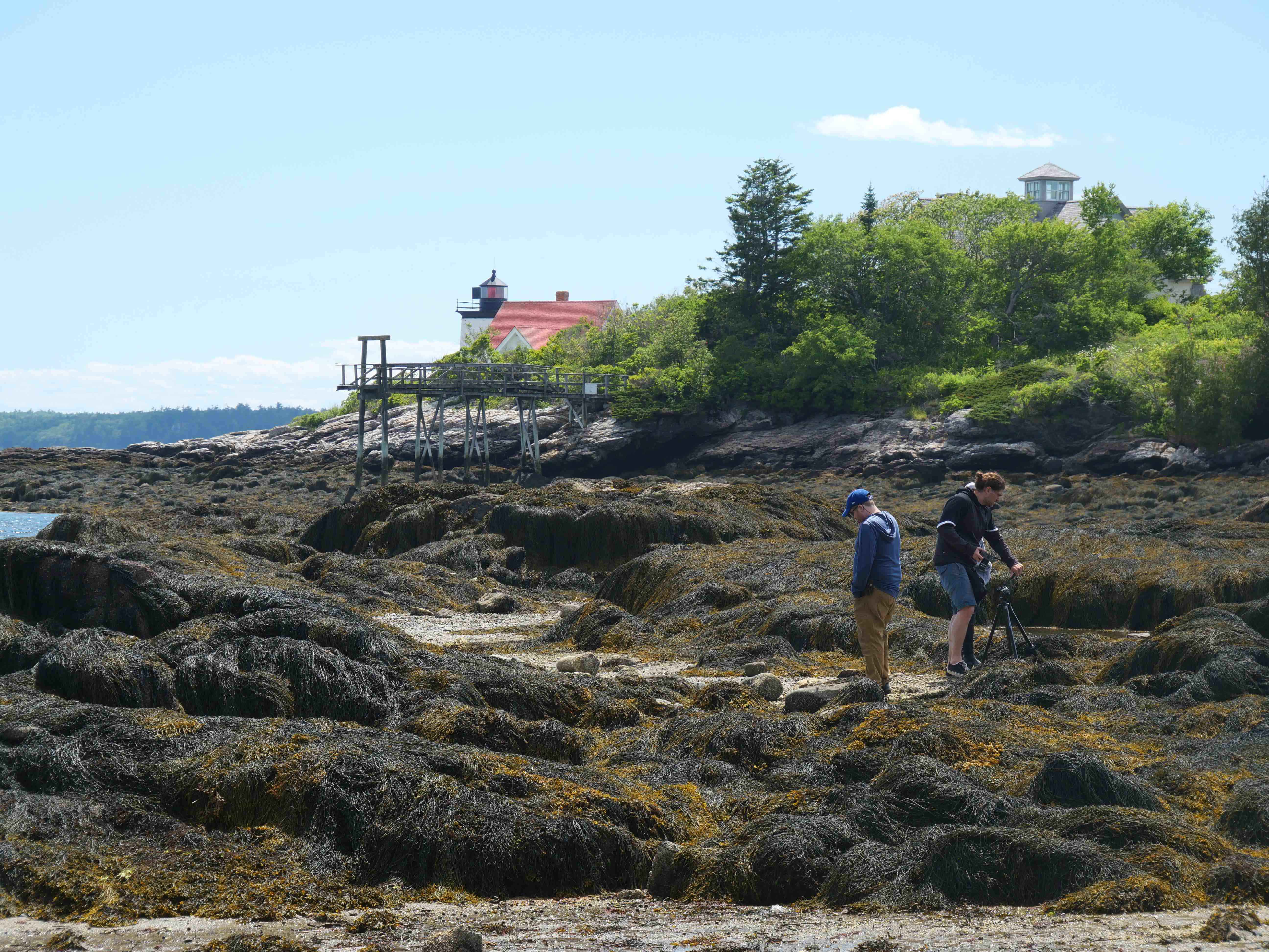 A photographer sets up a tripod to photograph a tide pool at Hendricks Head Beach in Southport.