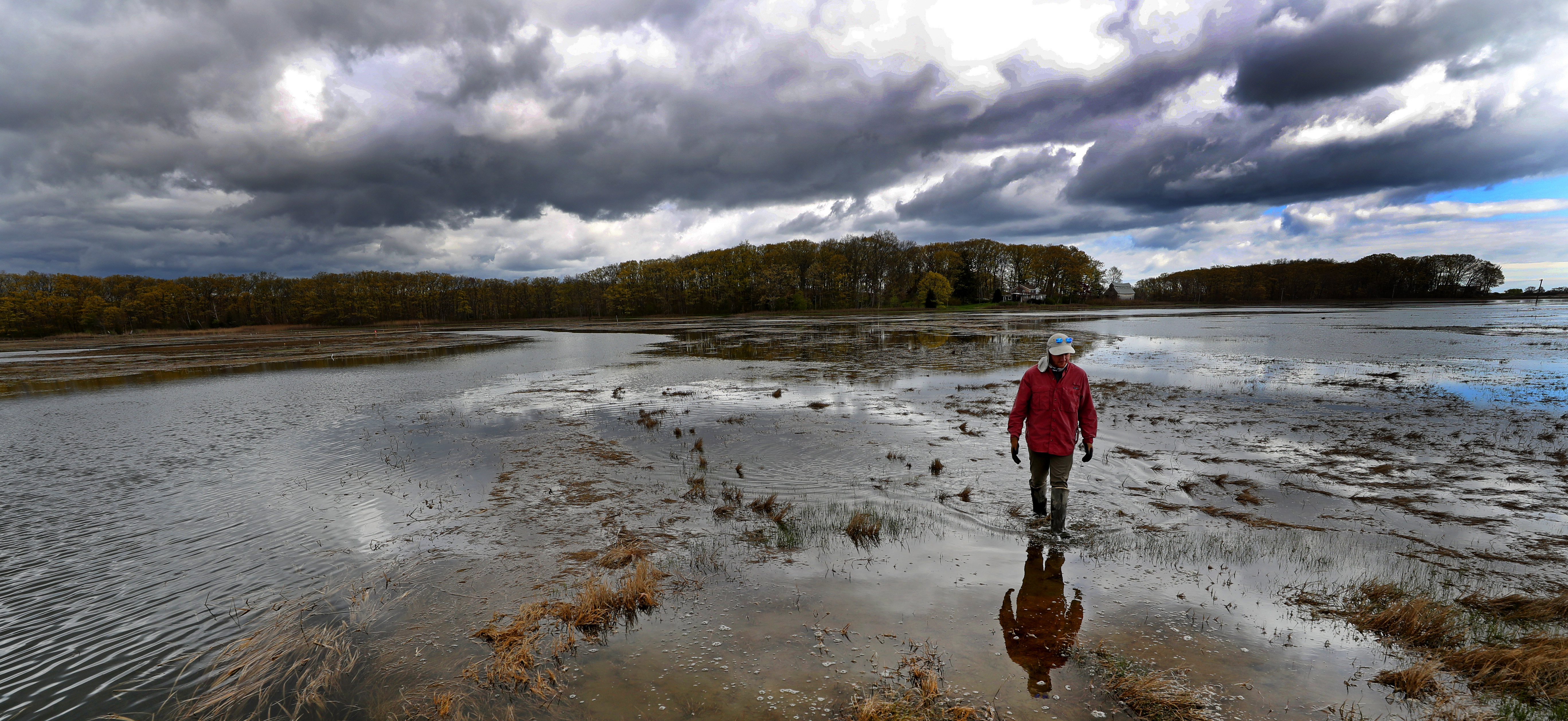 Justin Lesser, a PhD student, surveyed coastal marsh near Plum Island in Rowley to see how rising sea levels are affecting the marsh.