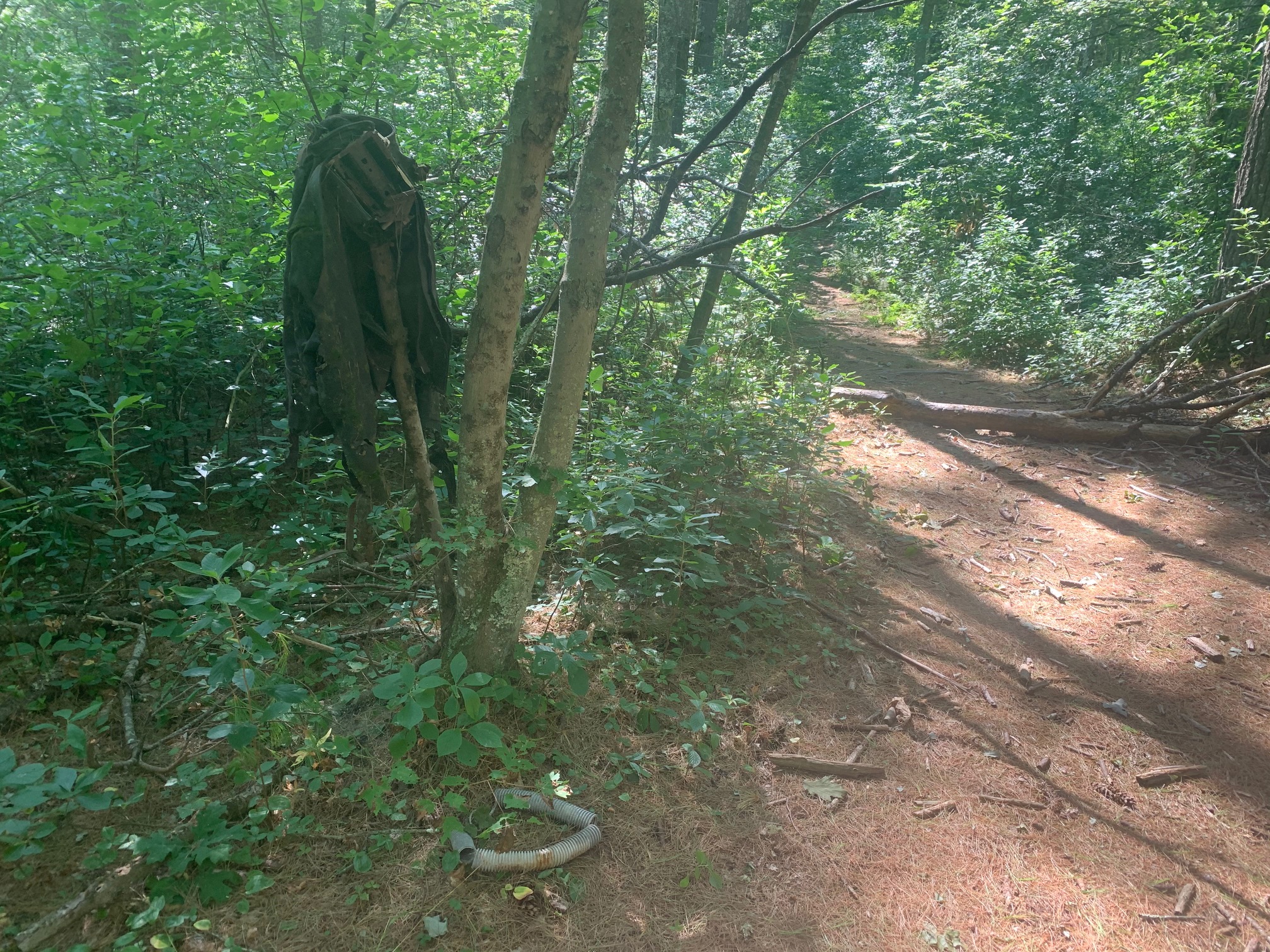 A tattered leather jacket hangs on a branch in the middle of the woods along a trail in Hell's Half Acre, West Greenwich, R.I.