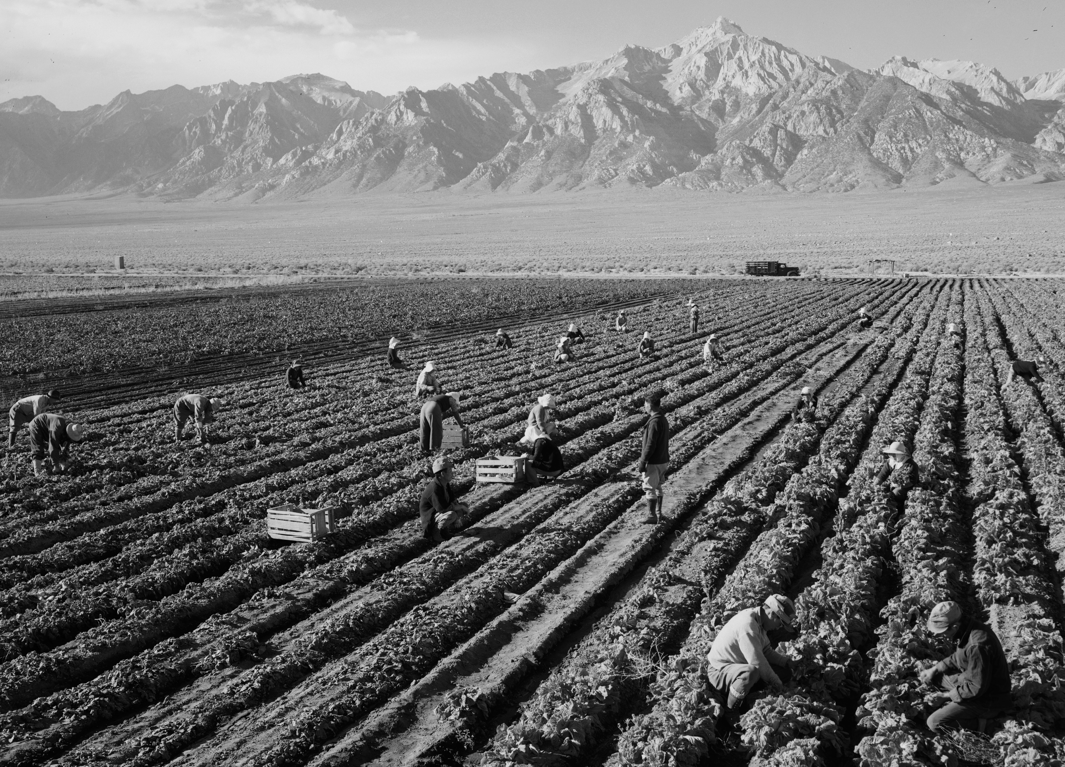 写真　Ansel Adams「第二次世界大戦中のマンザナー強制収容所」 Let's be honest, Ansel Adams's images of a WWII internment camp