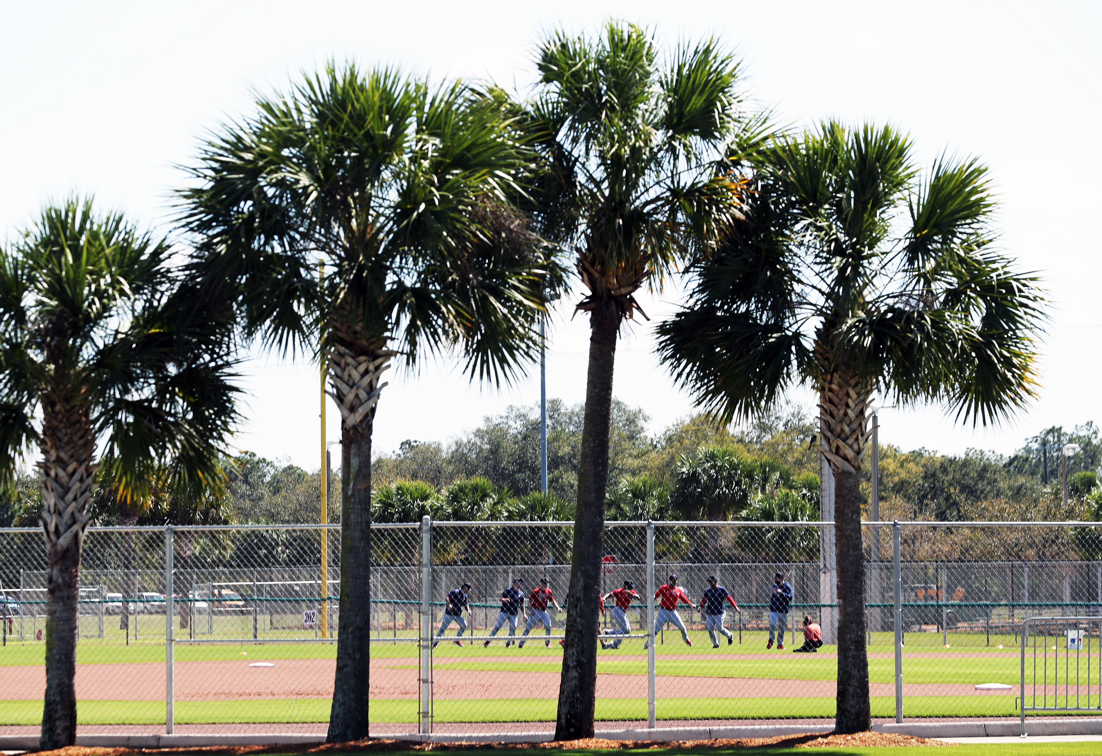 Dustin Pedroia at Red Sox spring training as guest instructor