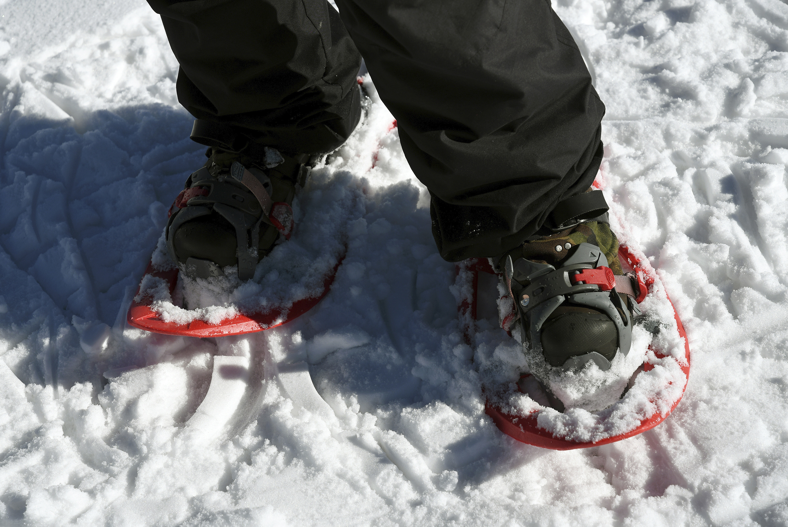Find the thing that's going to hook you, such as snowshoeing.