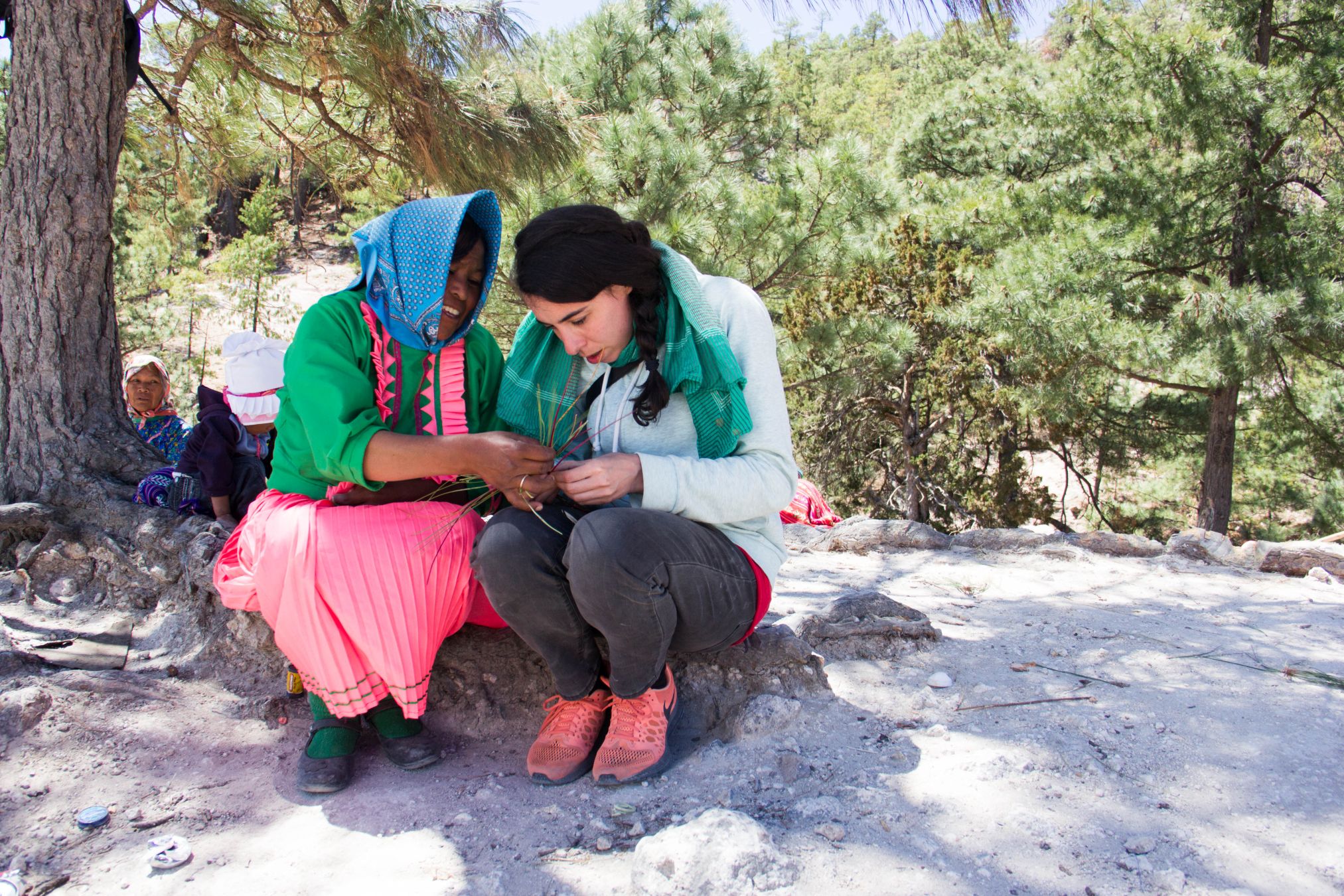 CREST has launched the 2020 Impact Tourism Handbook. Impact tourism generates support for local community projects.