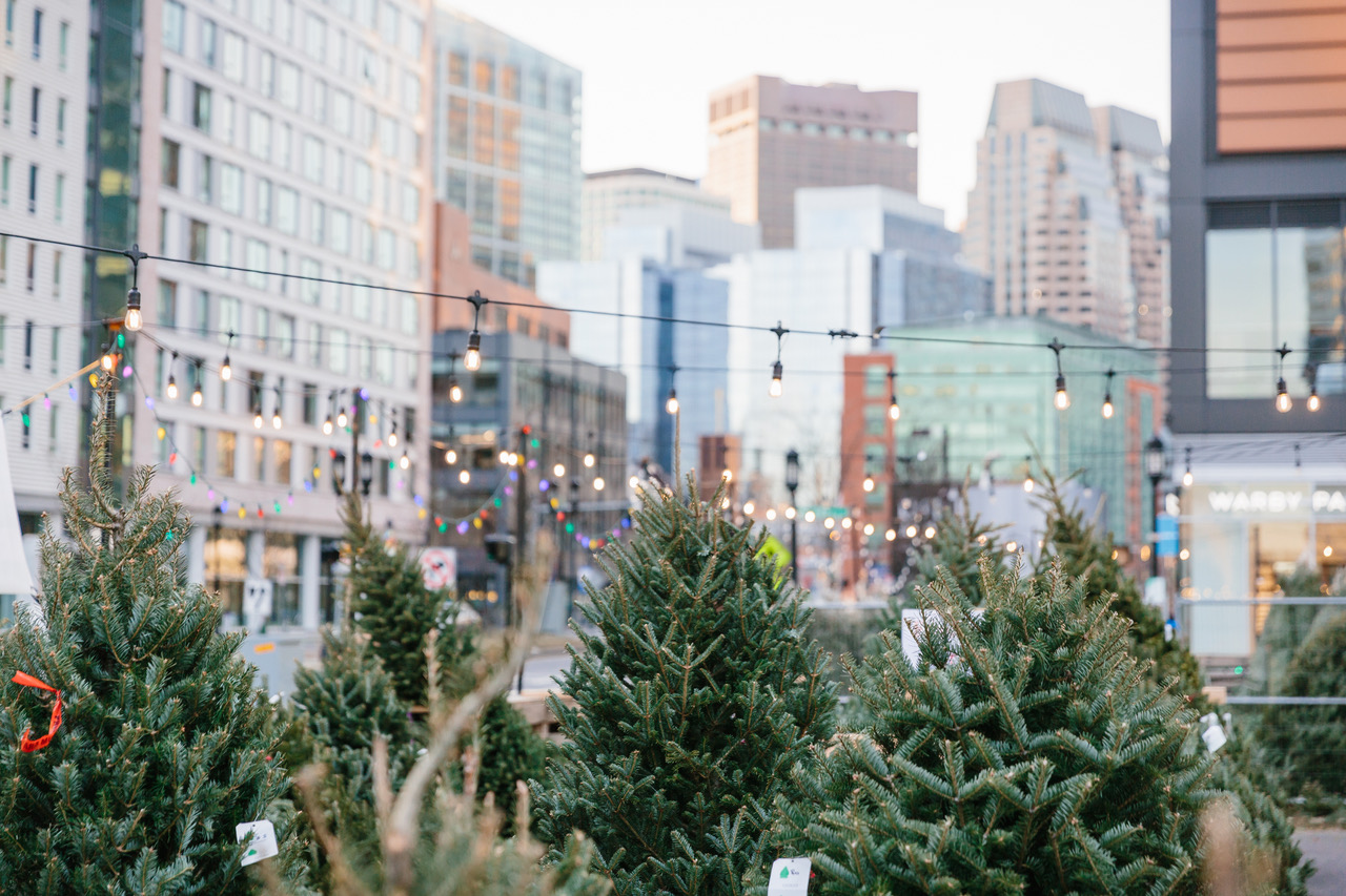 A winter wonderland in your own backyard: Seaport District to host