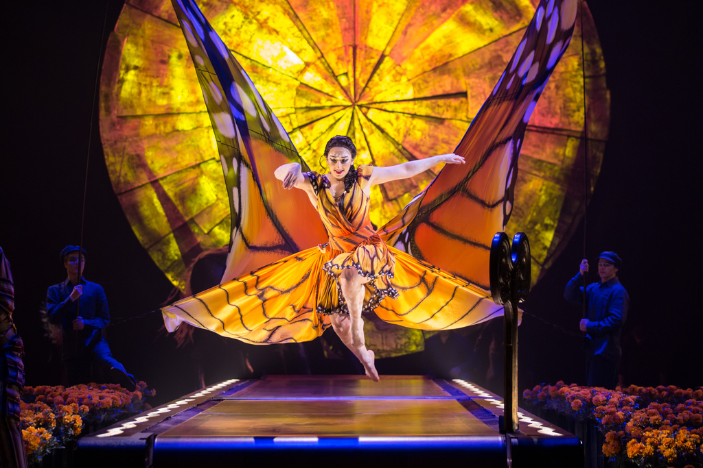 Cirque du Soleil files for bankruptcy - The Boston Globe