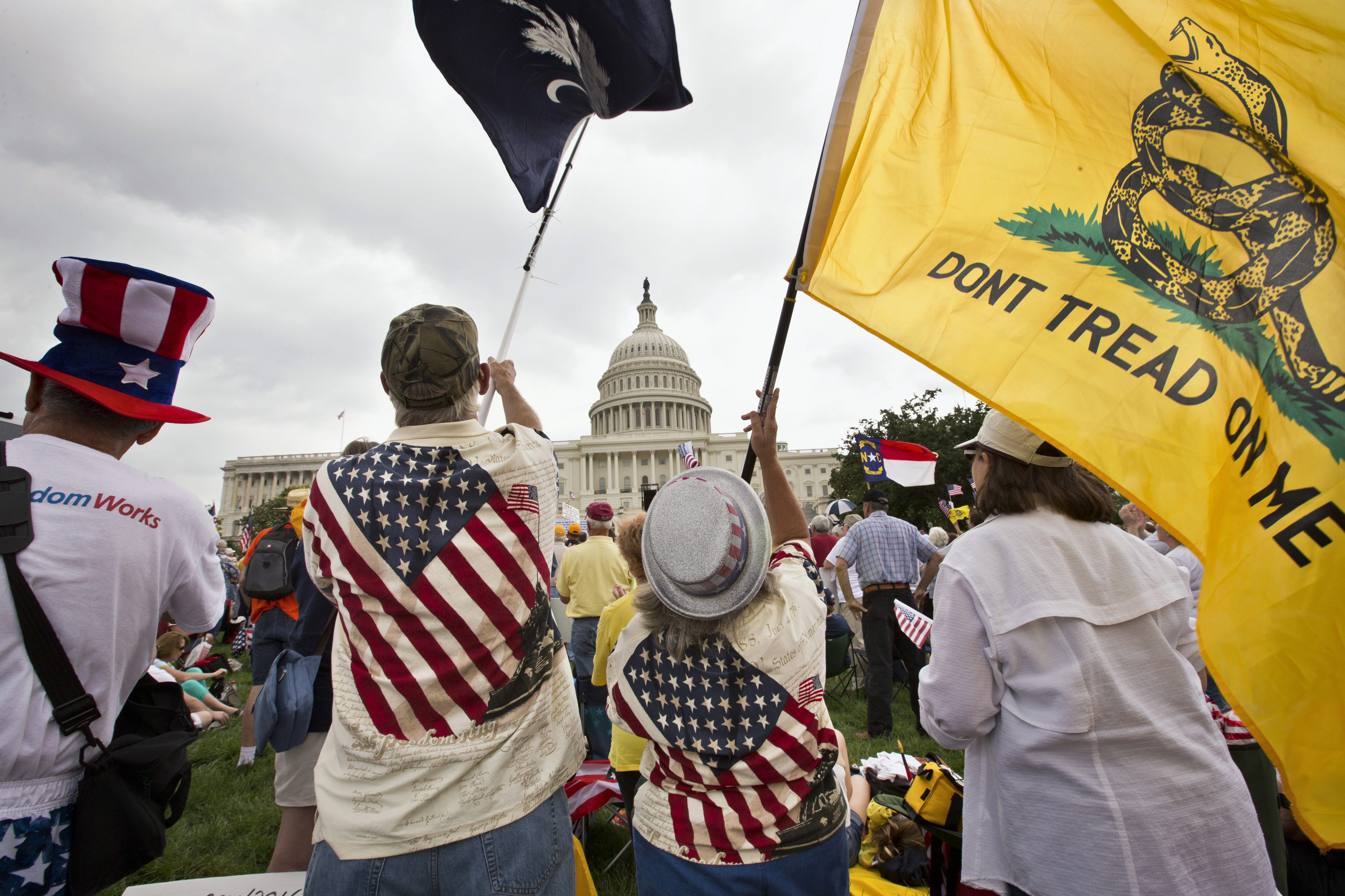 Tea Party activists rallied in front of the US Capitol in 2013.