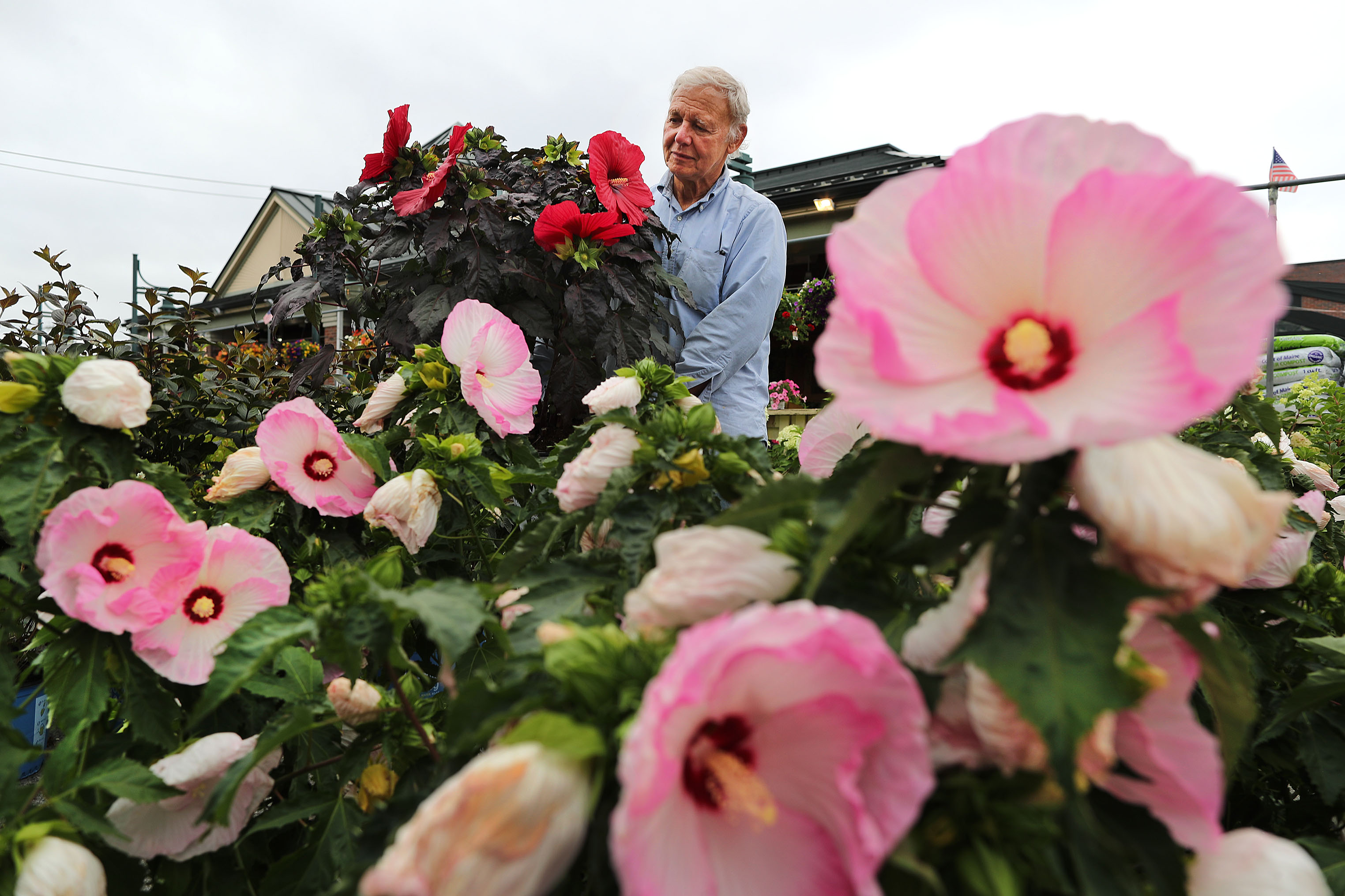 Tony Russo tended to flowers outside his market in 2019.