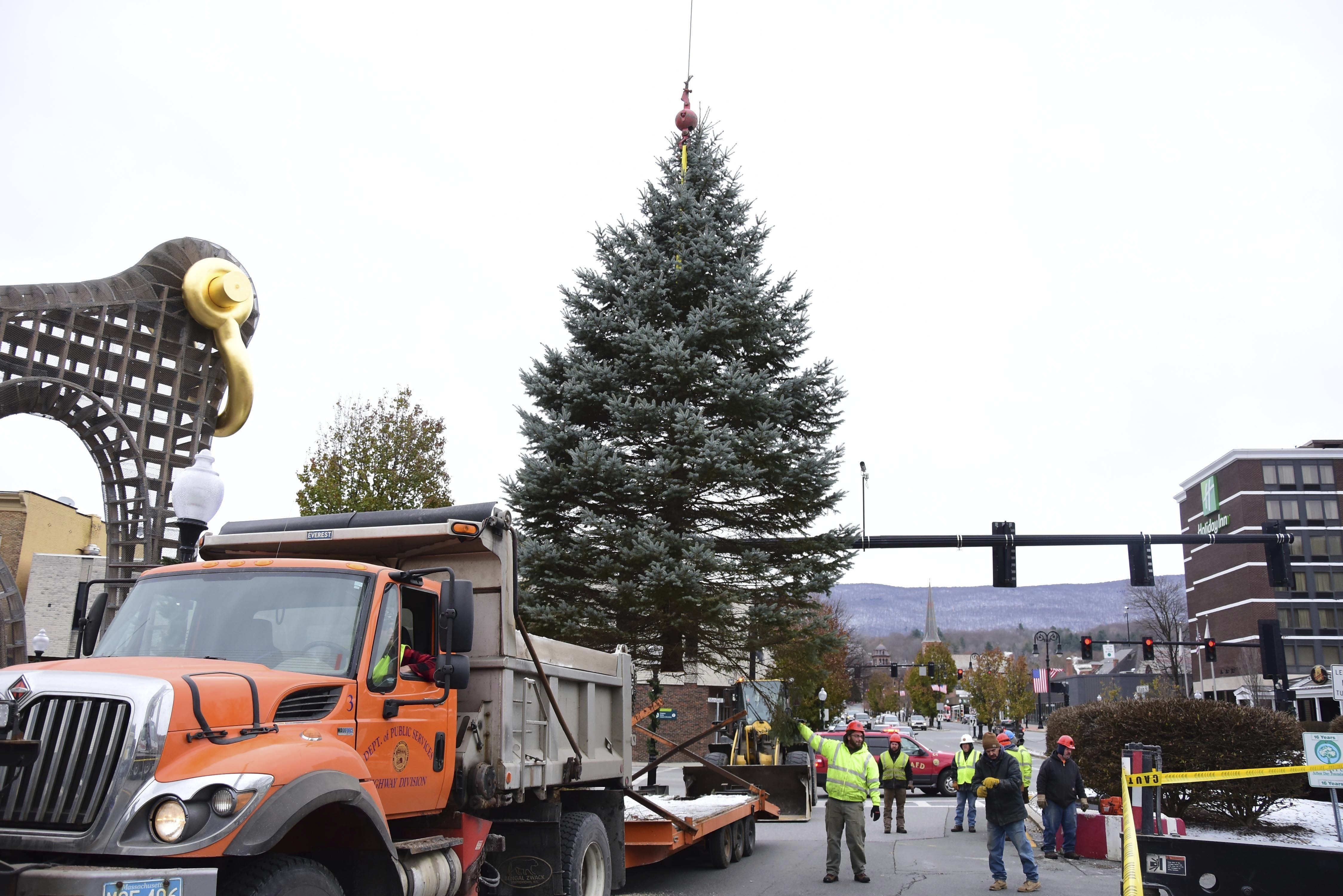 Martin Puryear's "Big Bling" is visible from the streets of downtown North Adams. Here, the 40-foot sculpture is seen in 2019 as the city's annual holiday tree was installed.