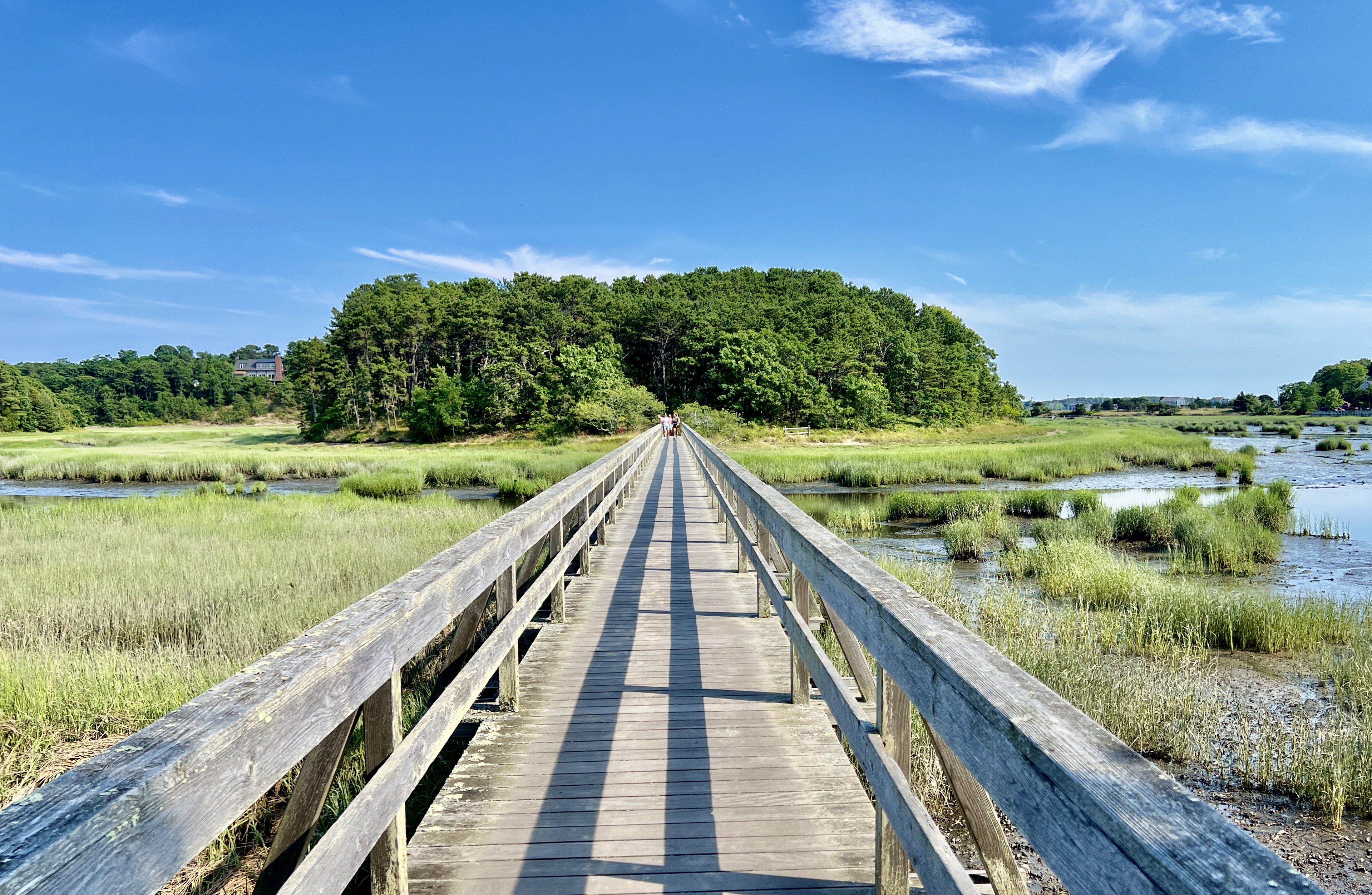 Sushi at Home Should Be a Cape Cod Staple - The Provincetown Independent