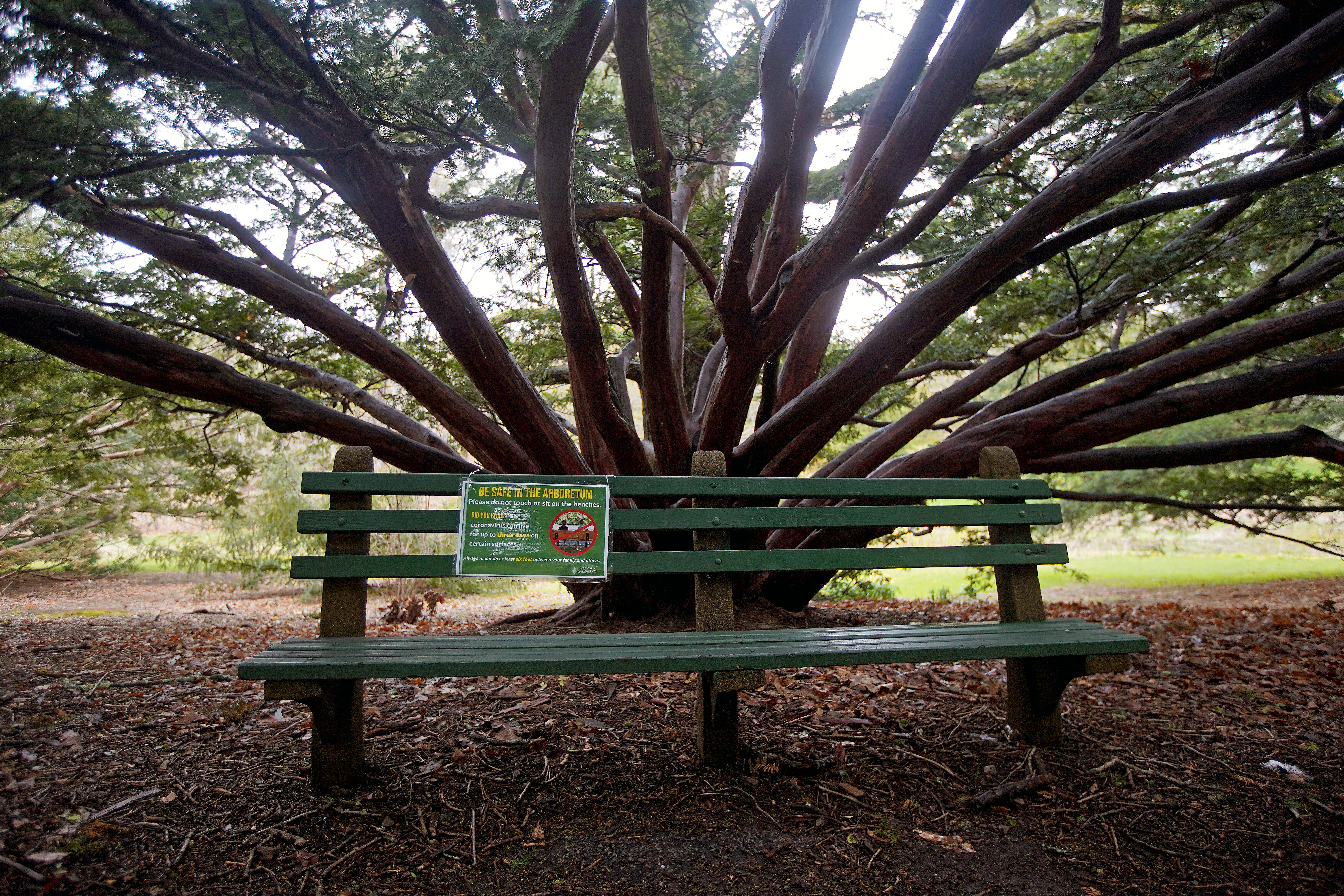 A sign in the Arnold Arboretum warns visitors to not touch or sit on the park benches due to COVID-19 transmission concerns.