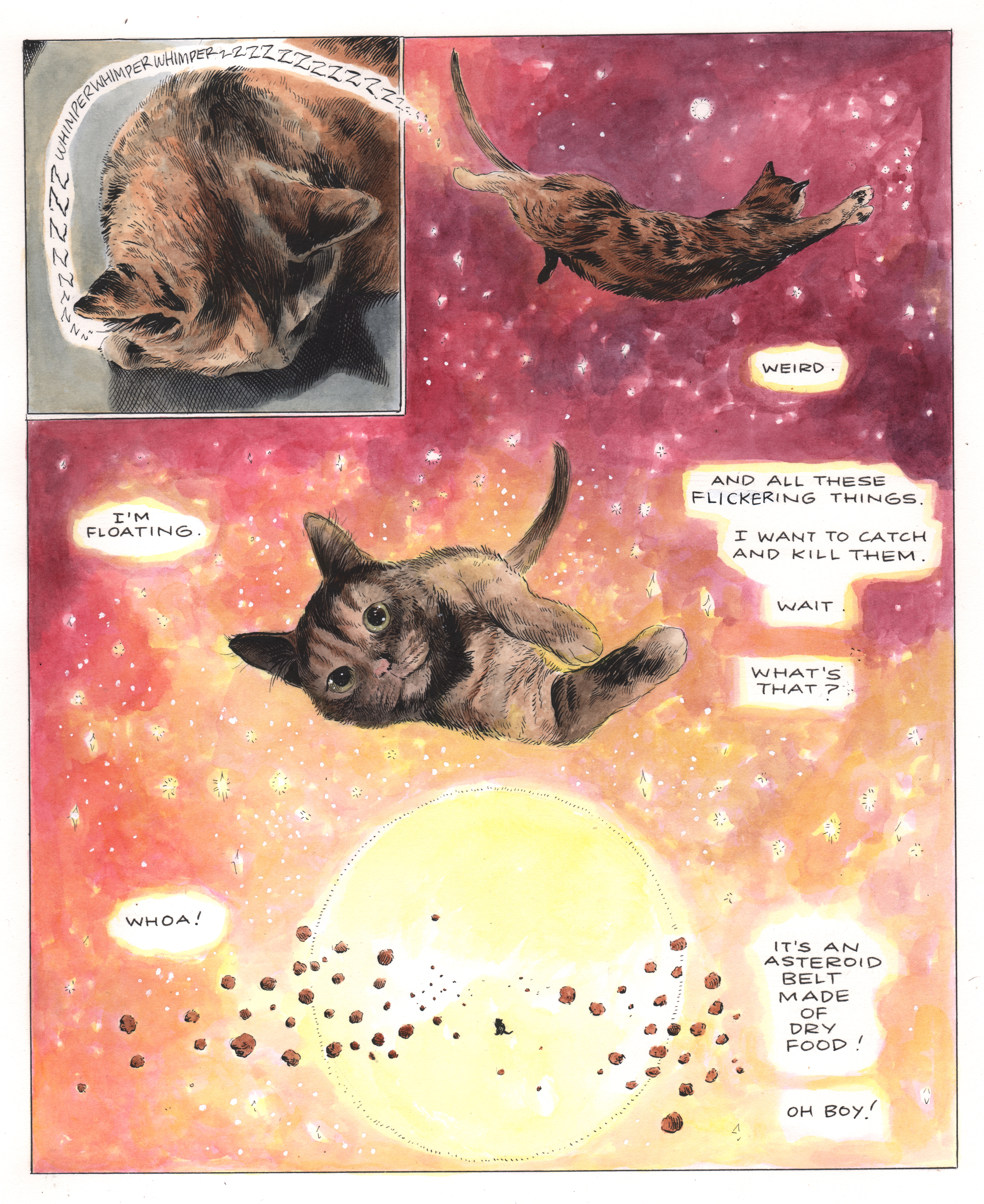 Karl Stevens's new graphic memoir is told from the perspective of a philosophical, dream-traveling cat named Penny.