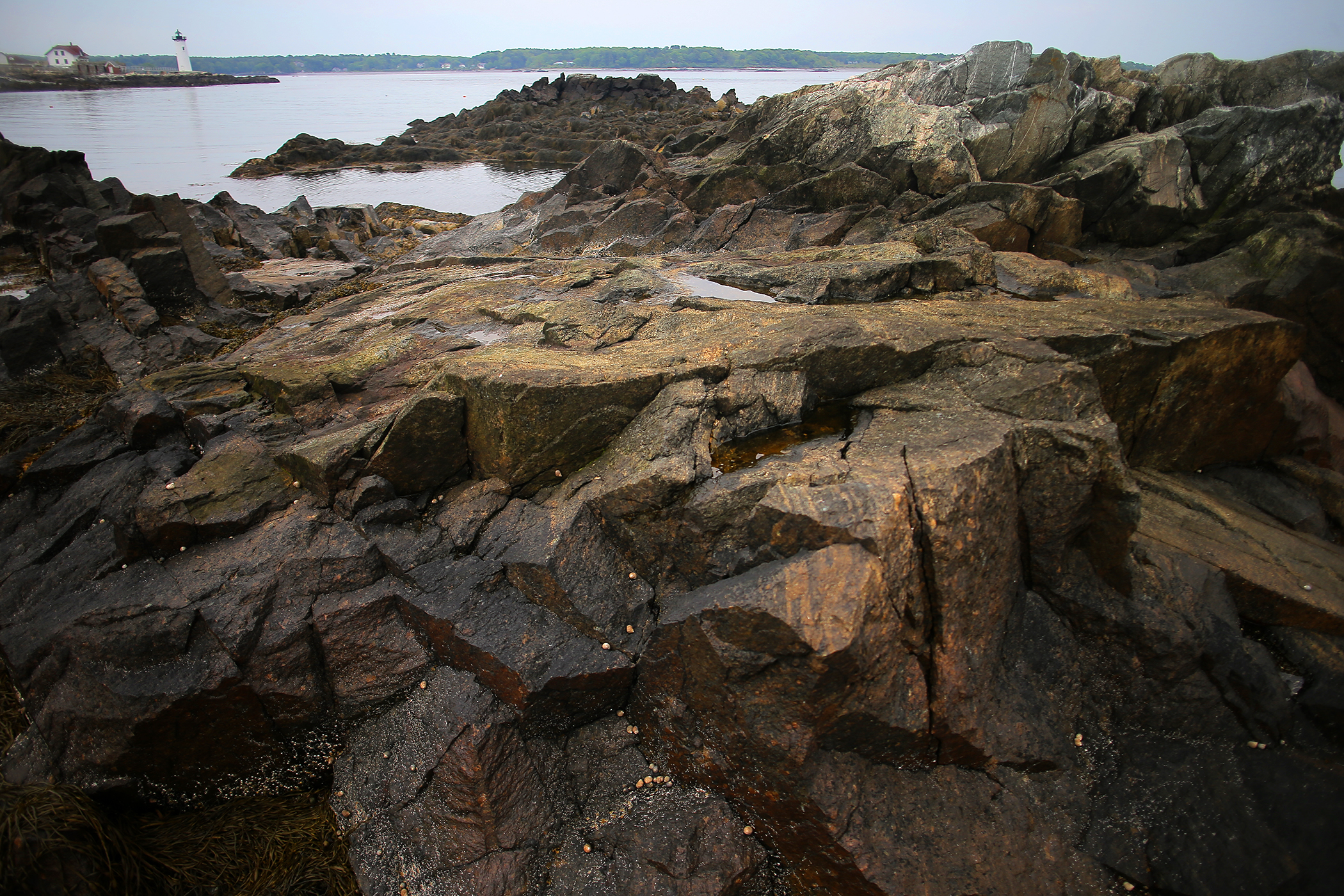 A rocky coastline rises from the Piscataqua River on New Castle Island.