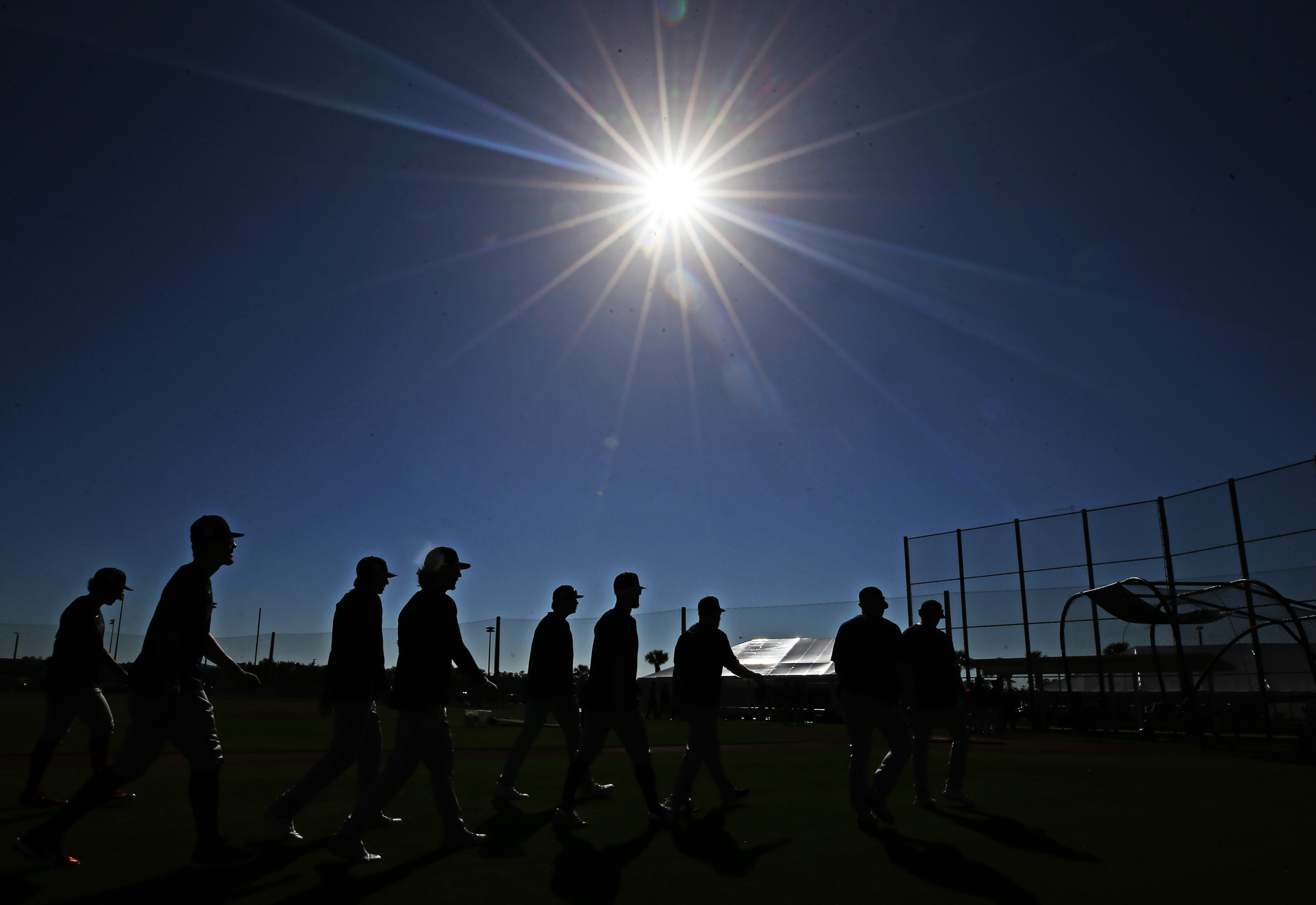 Detroit Tigers on X: We are undefeated in Grapefruit League play