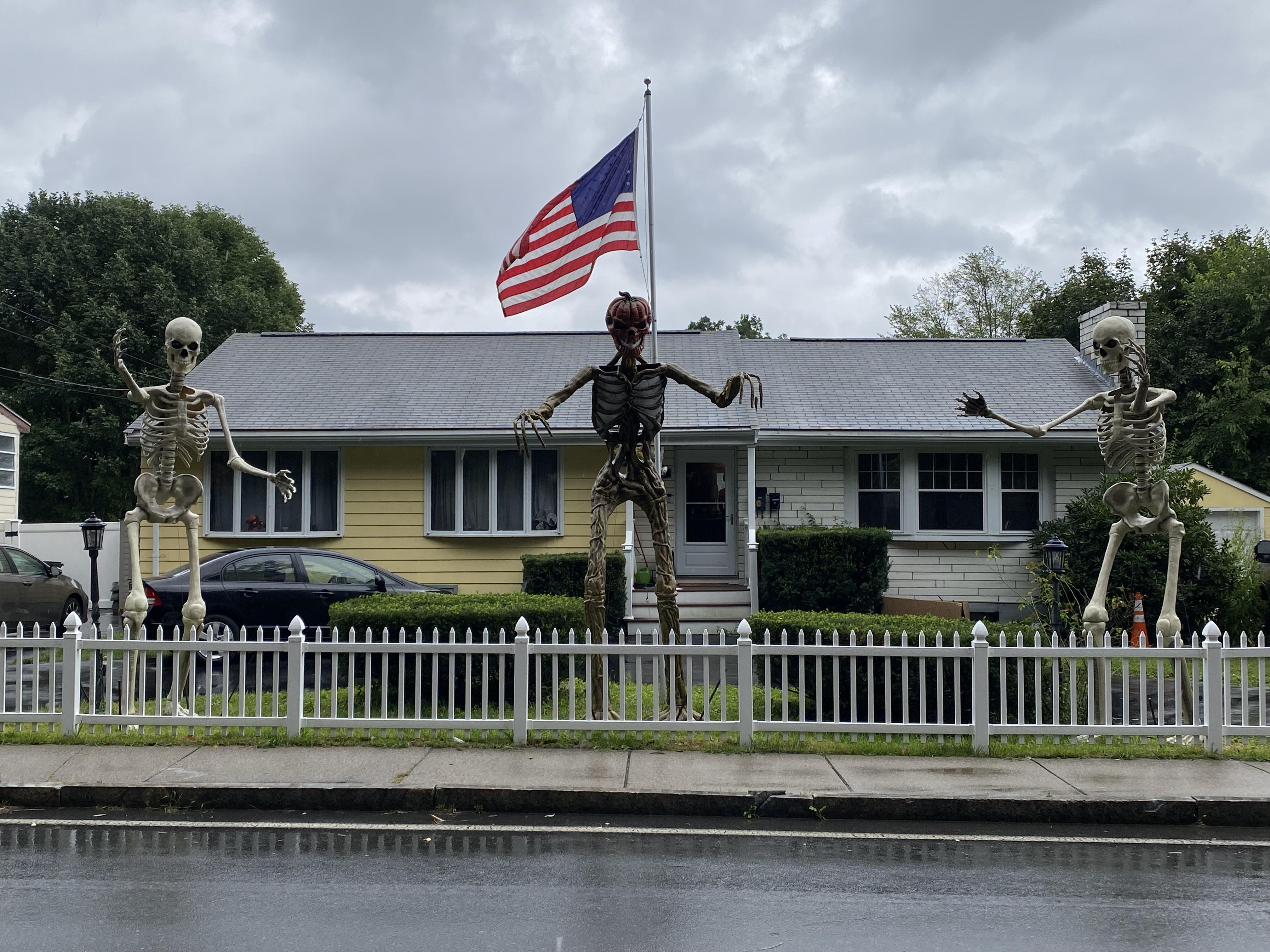Three of Home Depot's skeletons displayed outside of Scott Moss's home in Melrose.