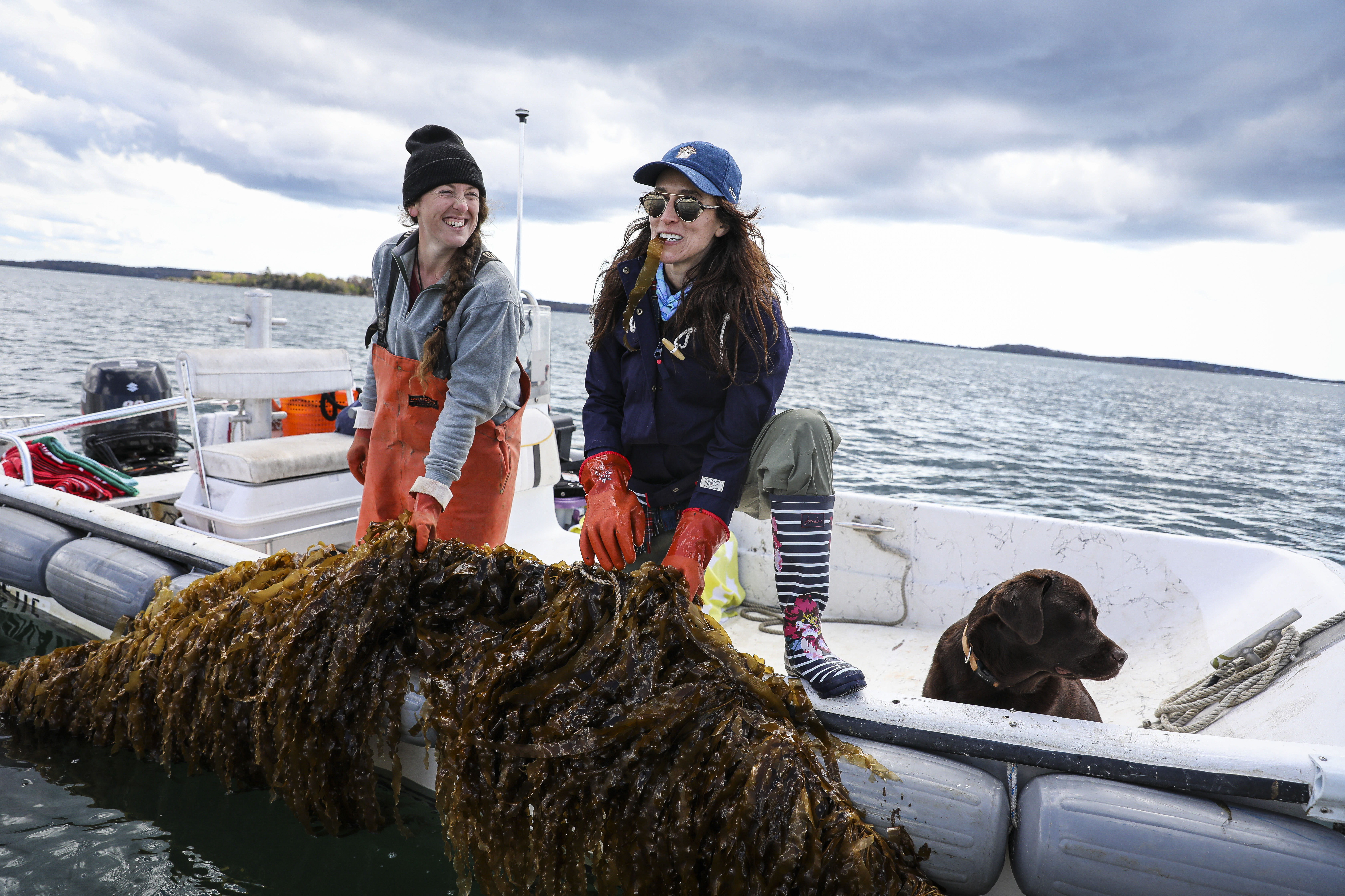 Francke, left, laughs with Courtney Boyd Myers, co-founder of AKUA, as she tries a piece of raw kelp, freshly harvested from Casco Bay.