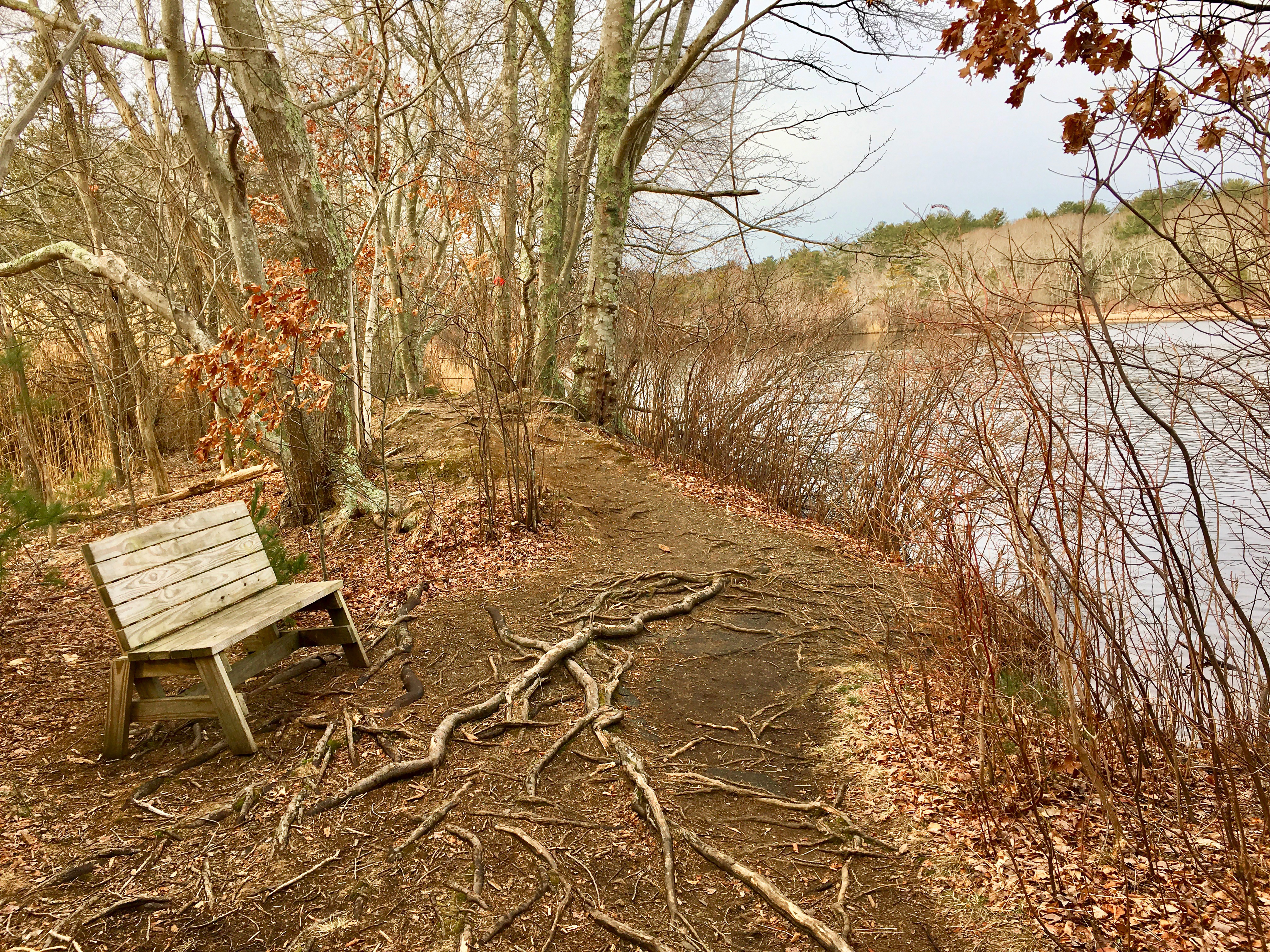Hoyt-Hall Preserve in Marshfield is one of the places to visit in the North and South Rivers Watershed Association's "Explore the South Shore" contest.