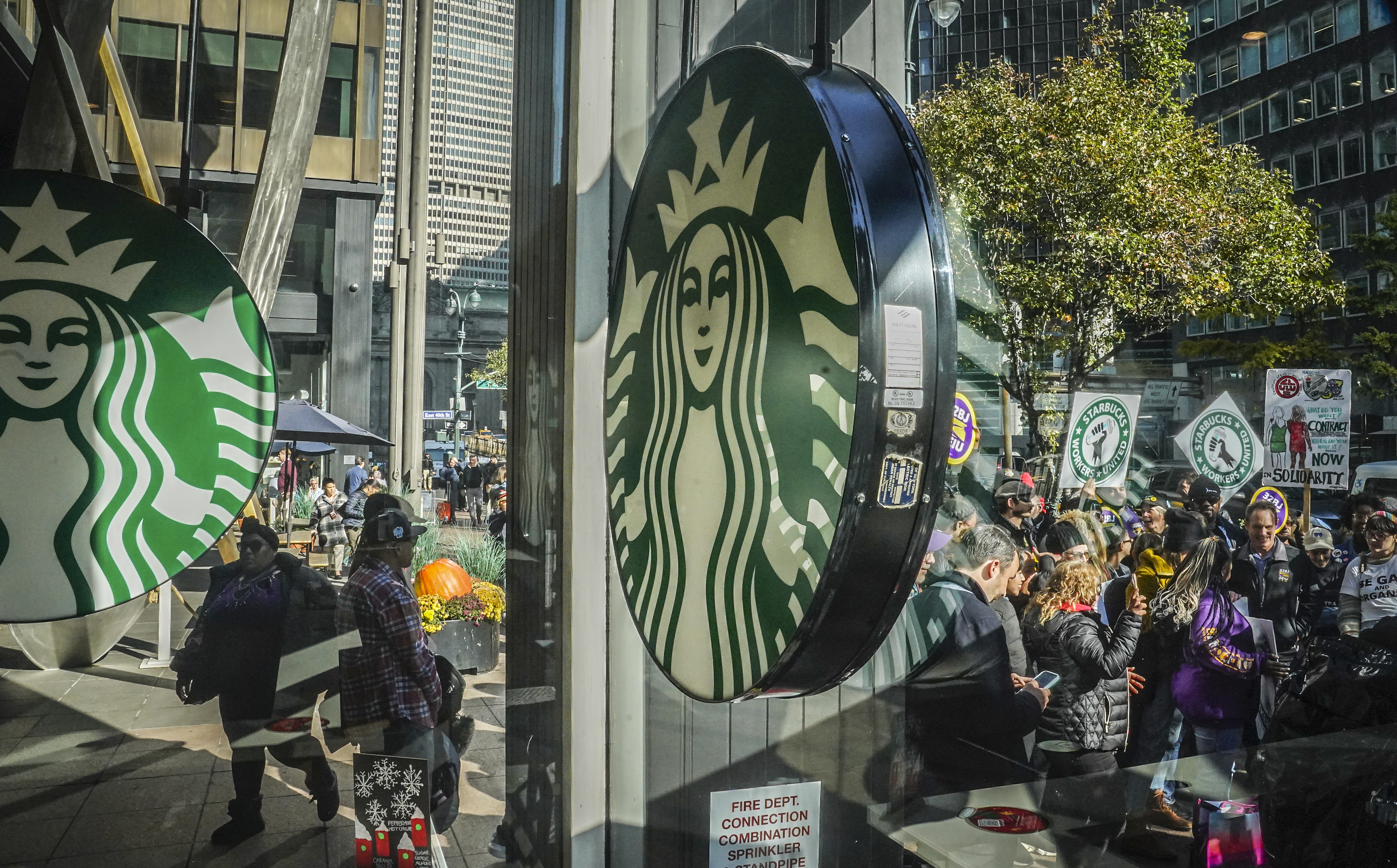 See Inside Starbucks' Quest for 'the Cup of the Future