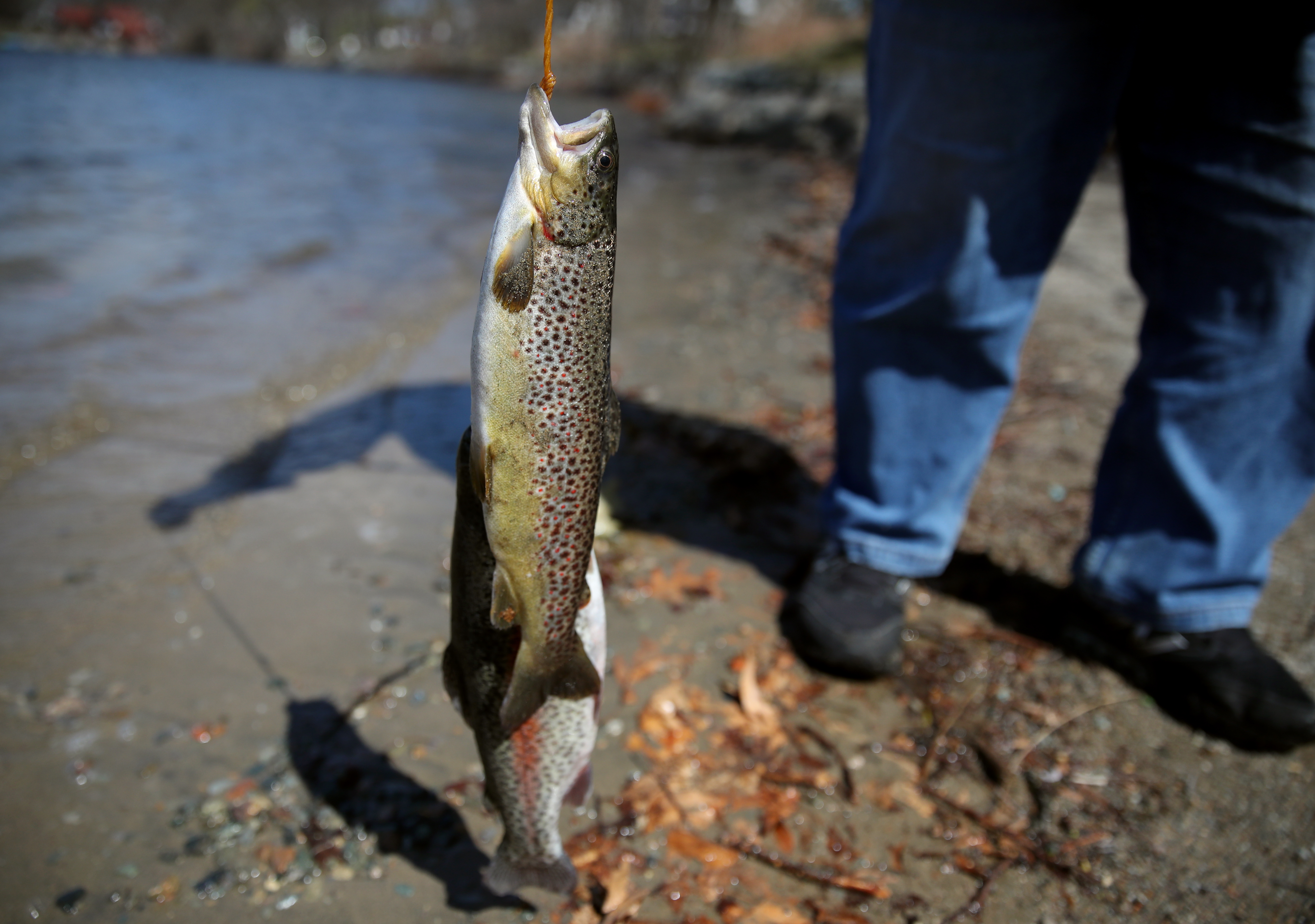 Robert Callaghan showed off his catch while fishing on Jamaica Pond.