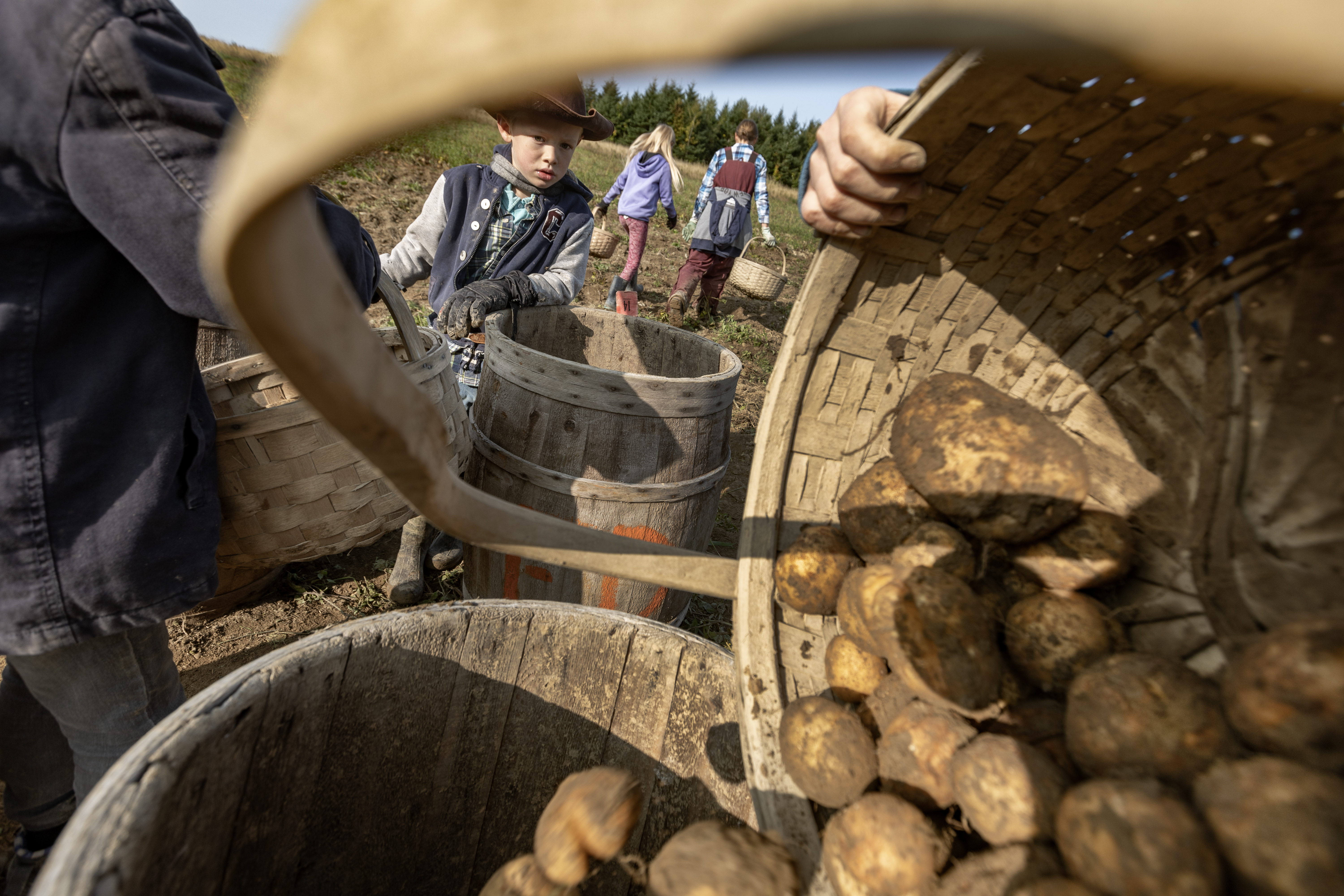 Fortress helps farmers find needle in potato sack, Article