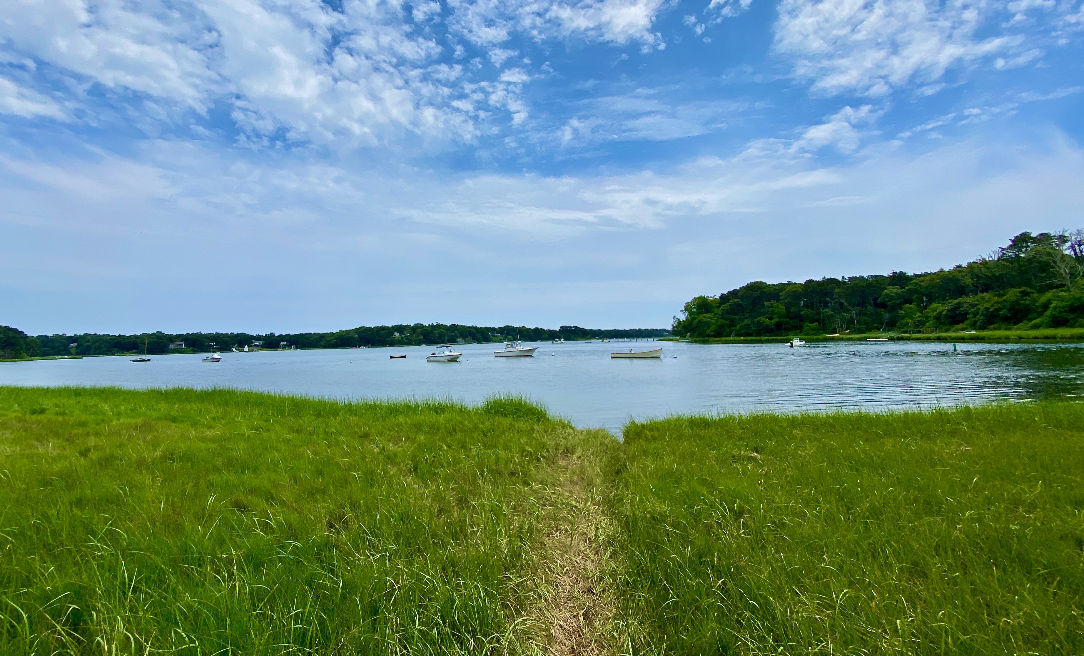 Lonnie's Pond at Kent's Point Conservation Area in Orleans.