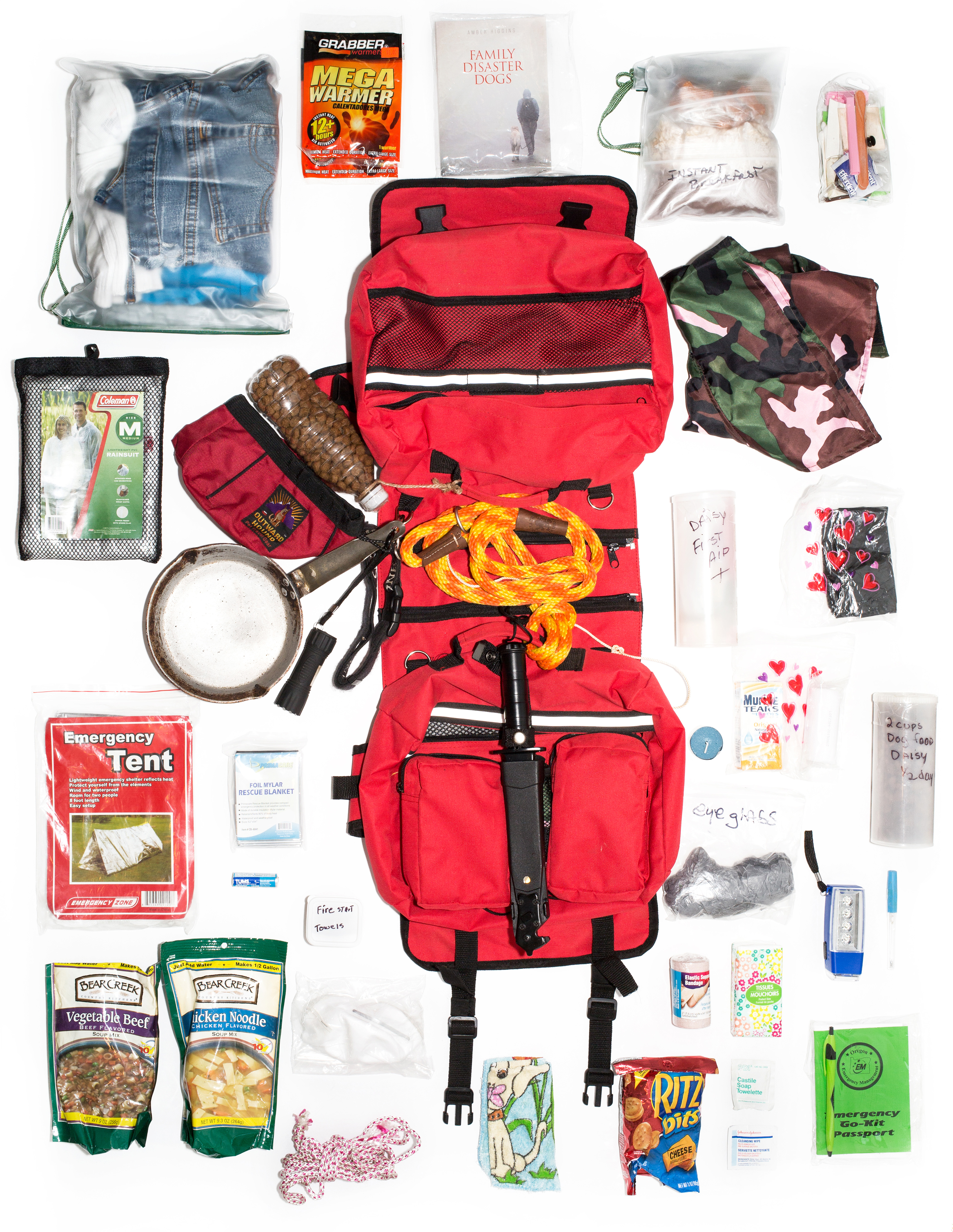 Allison Stewart, "Daisy's Bug Out Bag"