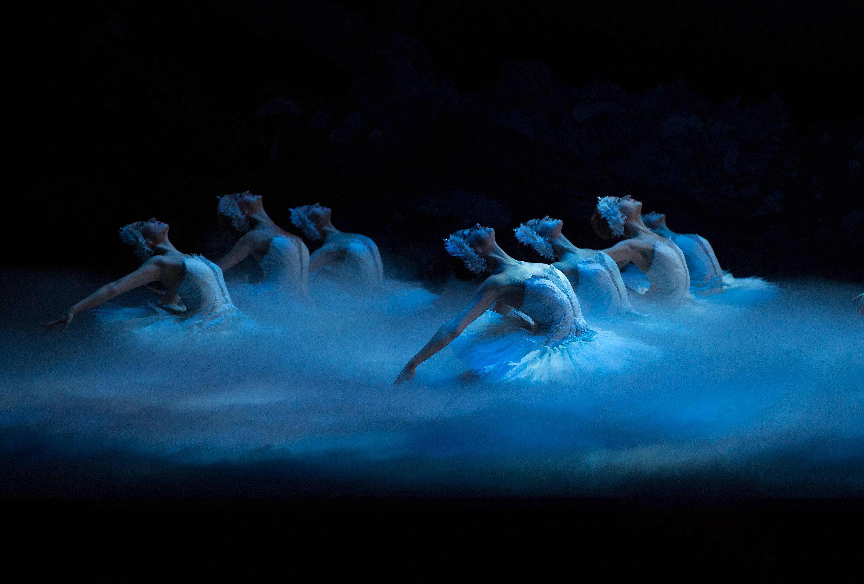 Boston Ballet will perform "Swan Lake" next May.