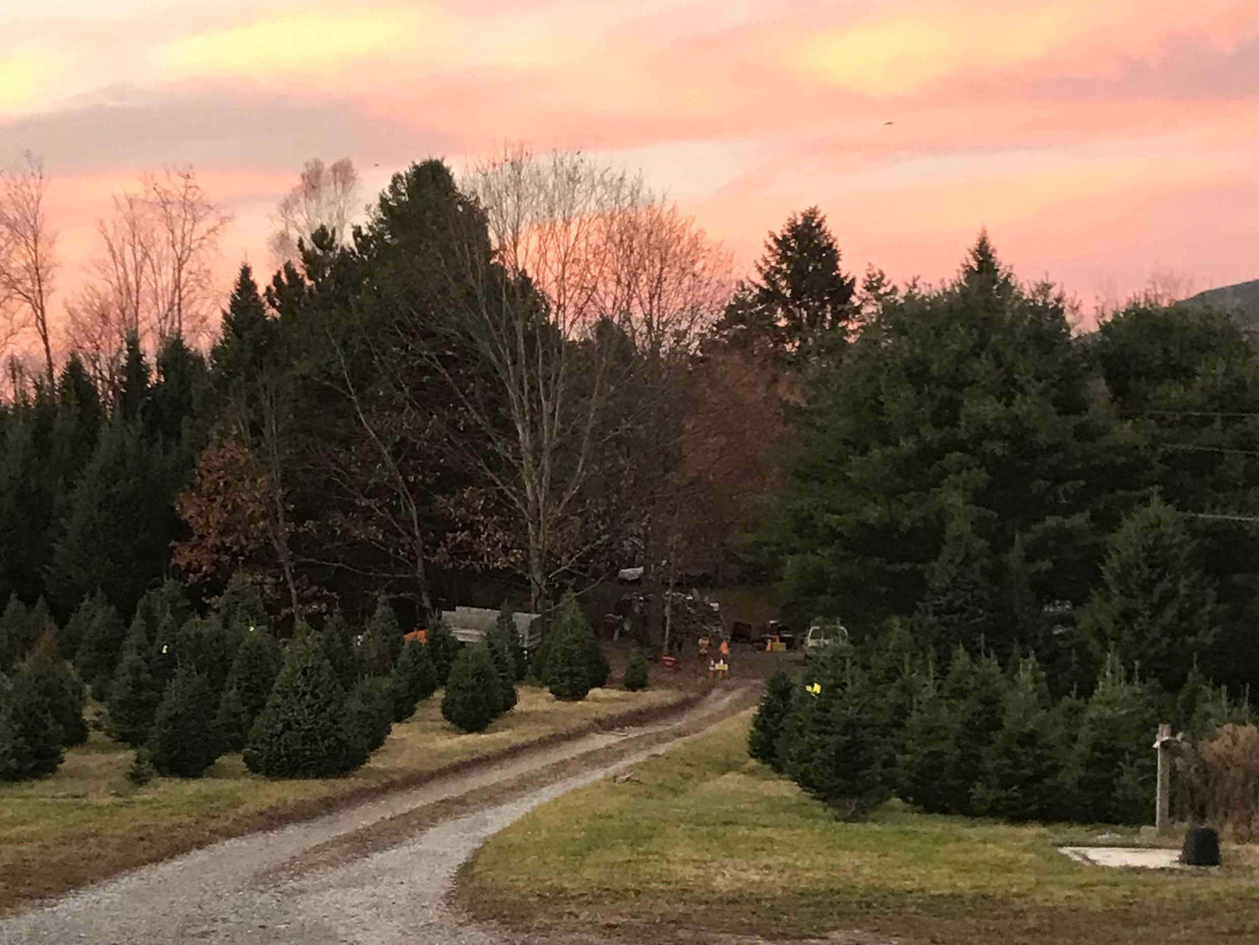 The Hallmark Channel is an escape. So is staying in an Airbnb on a