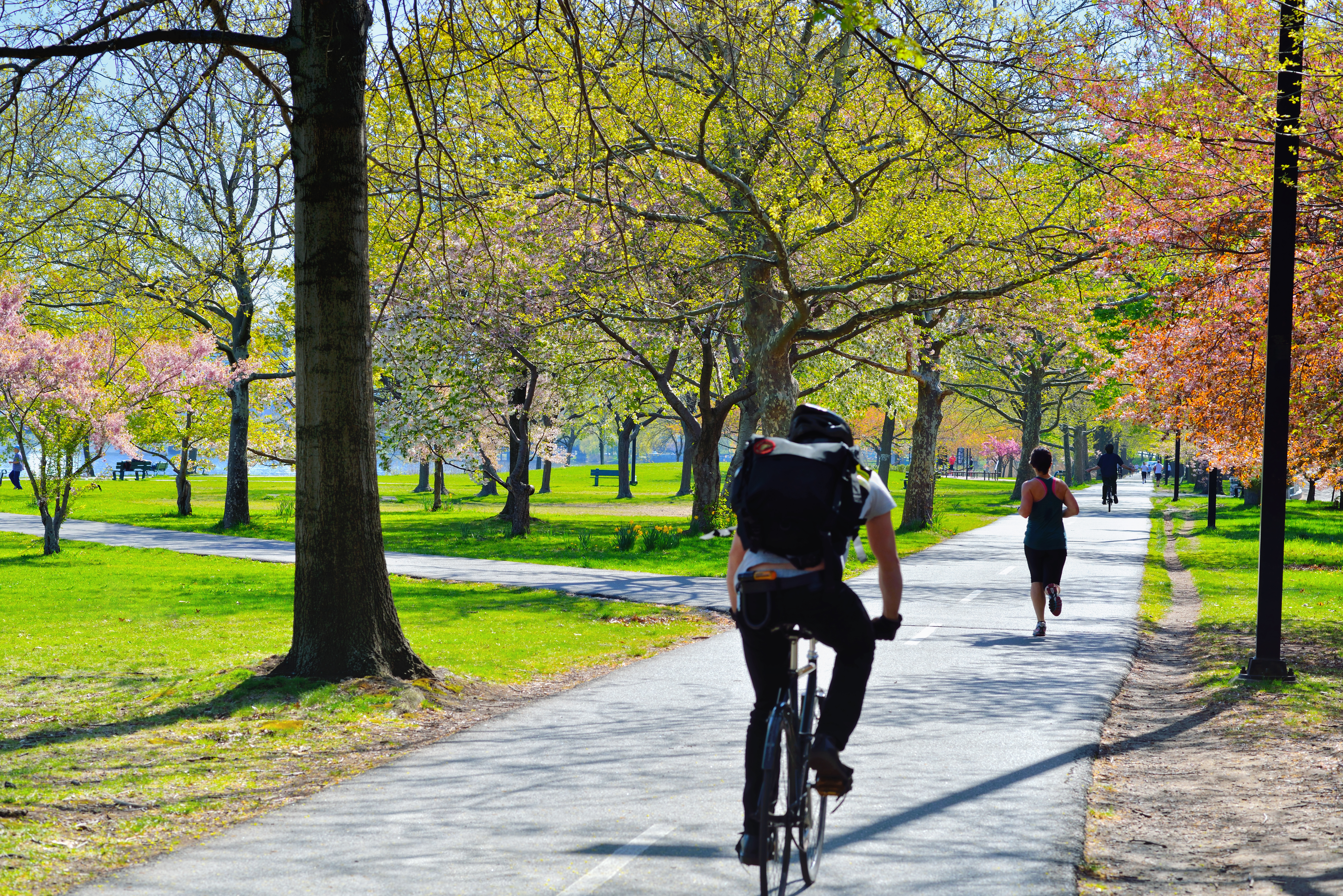 A person rode their bike along the Esplanade.