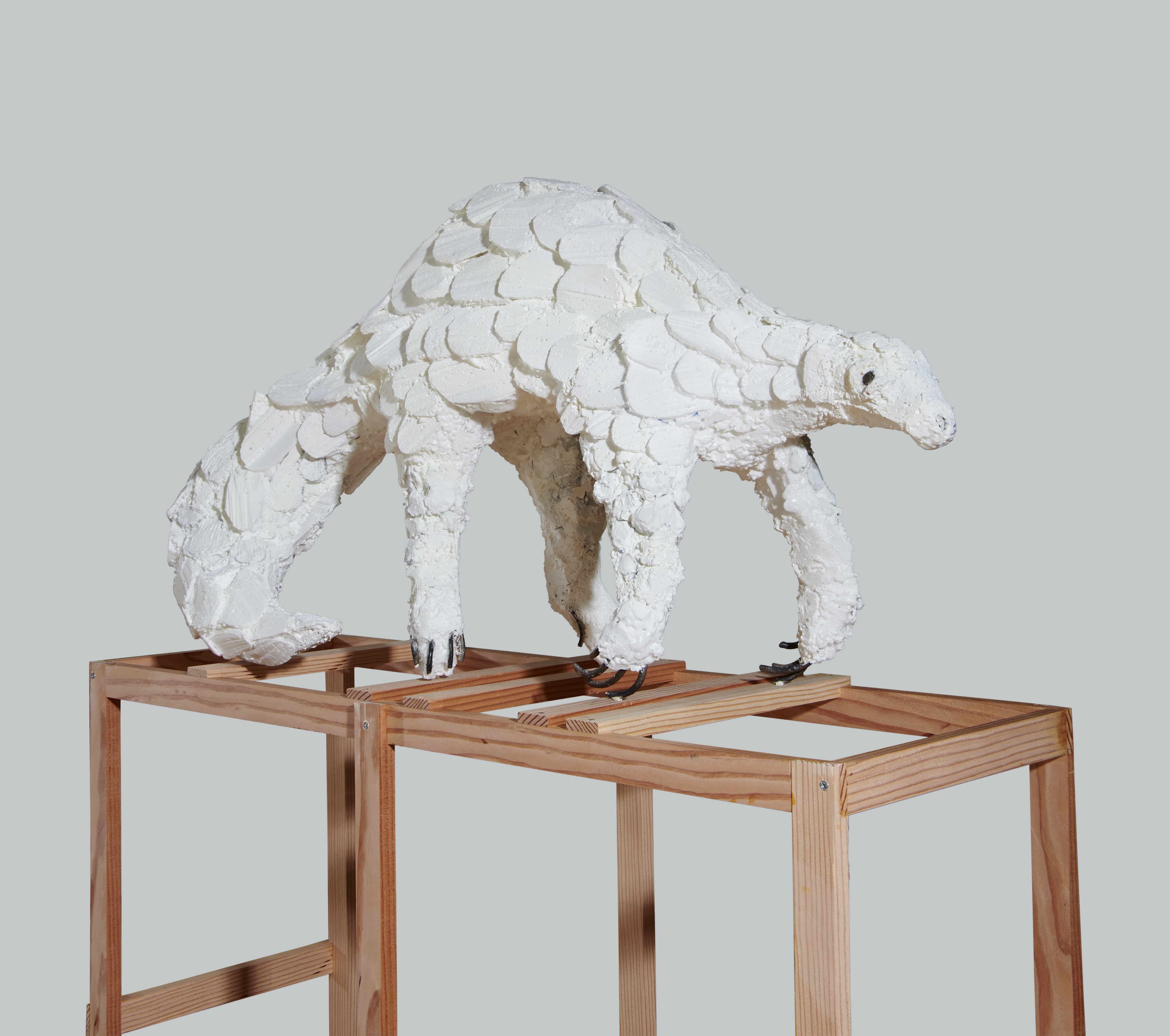 Lin May Saeed's "Pangolin," 2020.