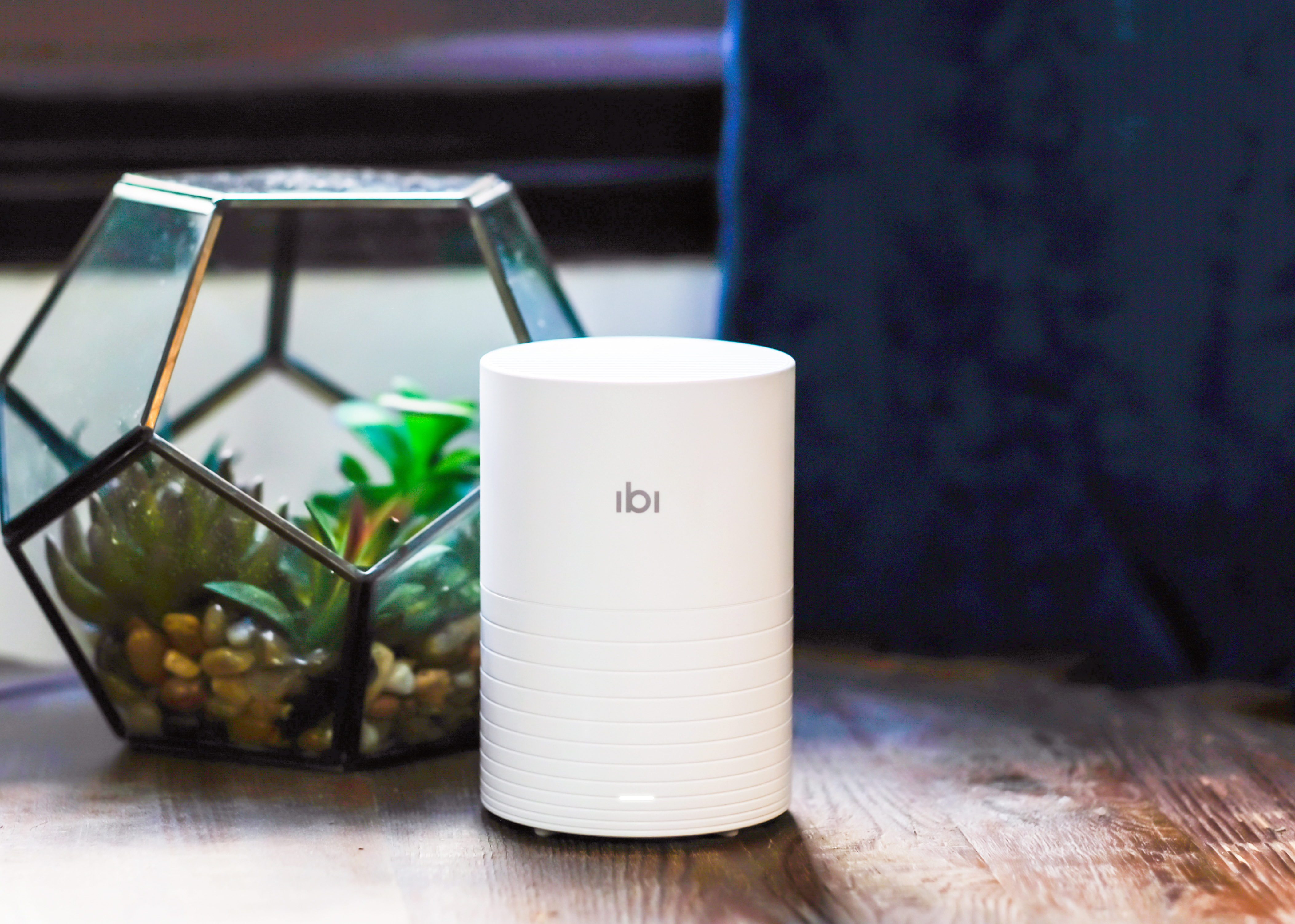 SanDisk’s ibi device.