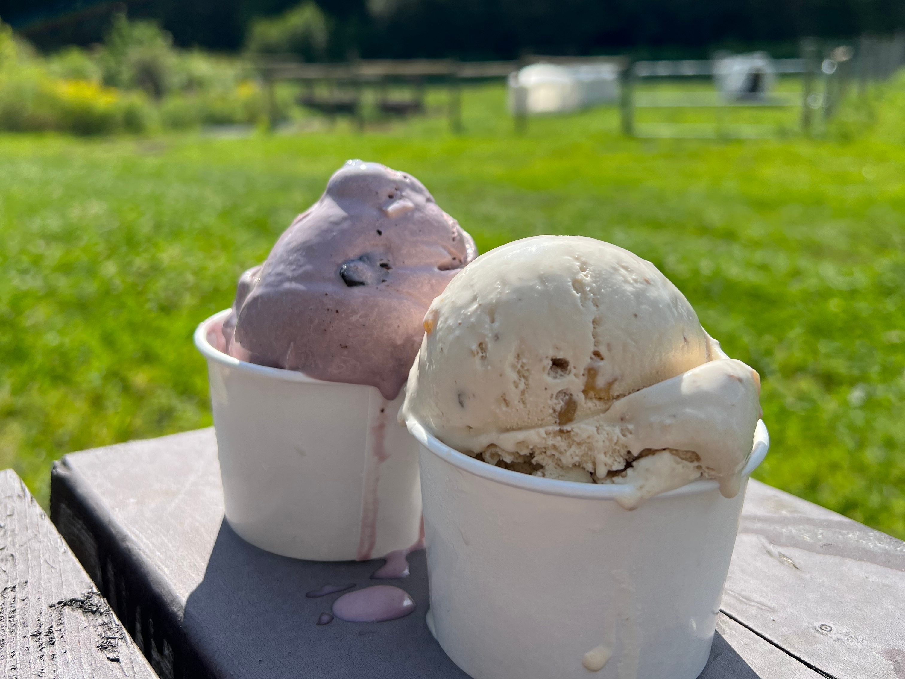 Best ice cream stands in Massachusetts