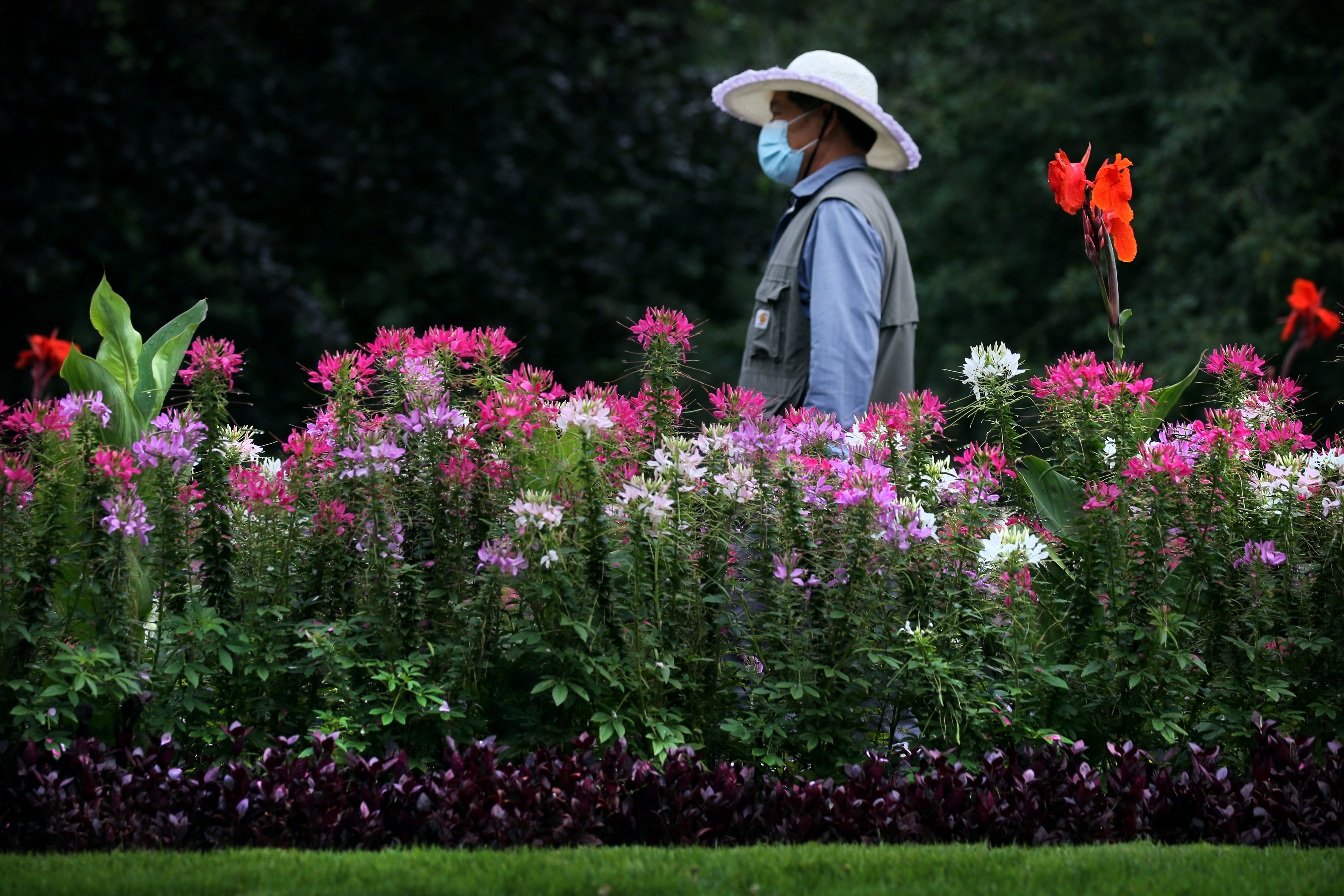 The Public Garden in Boston, July 08.
