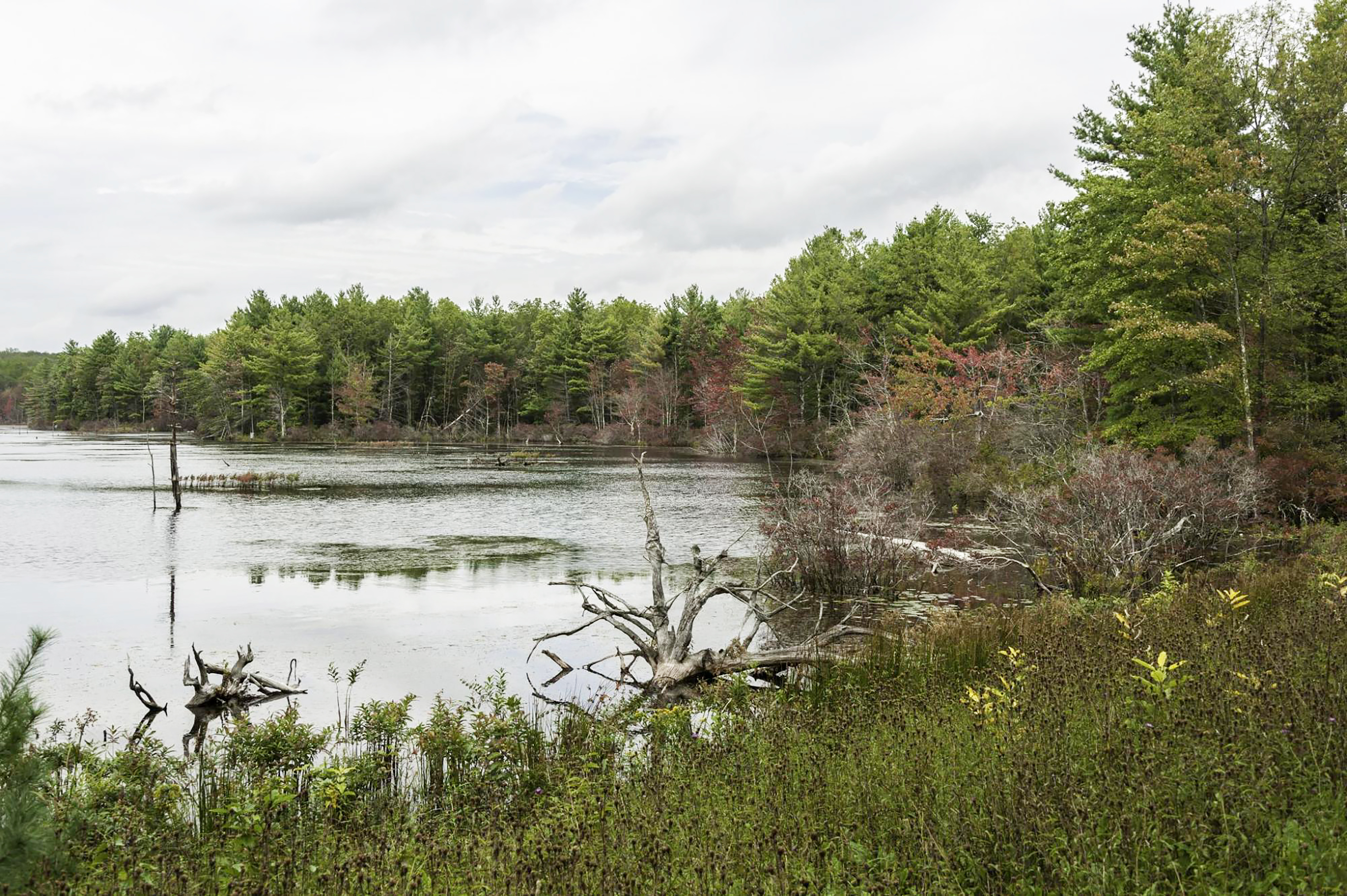 Stretch your legs at the Buck Hill Management Area in Burrillville, where trails lead to a pristine pond.