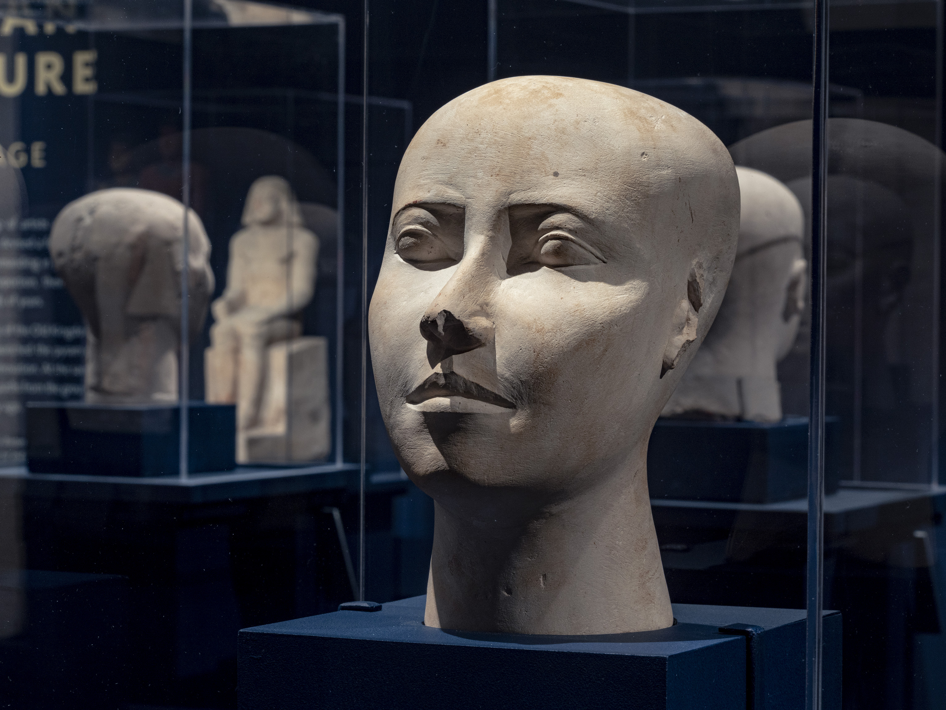 A close-up from the "Faces of Ancient Egypt" display.
