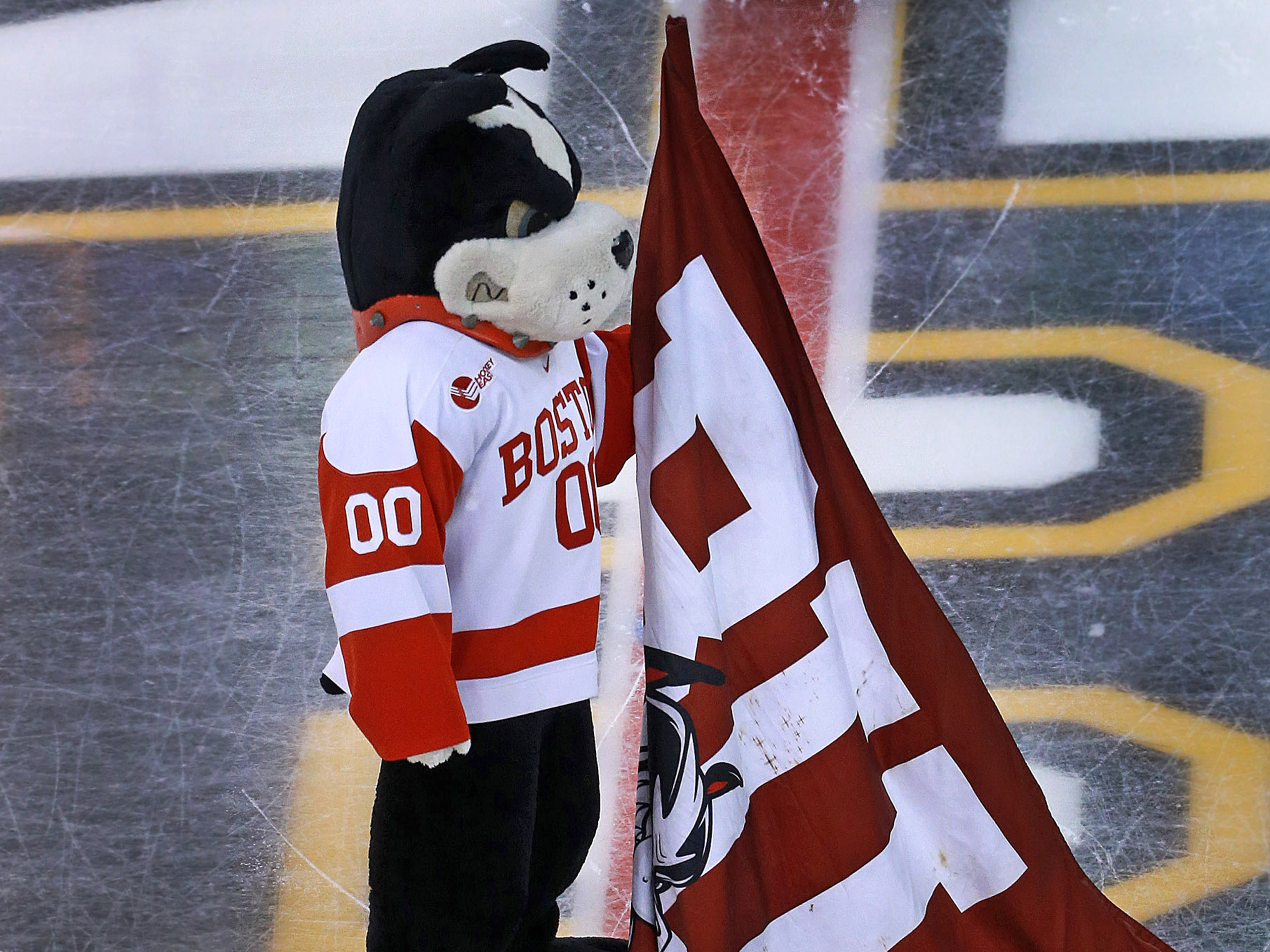 Vintage Boston U. Terrier leaning on BU - Mascot Rhett