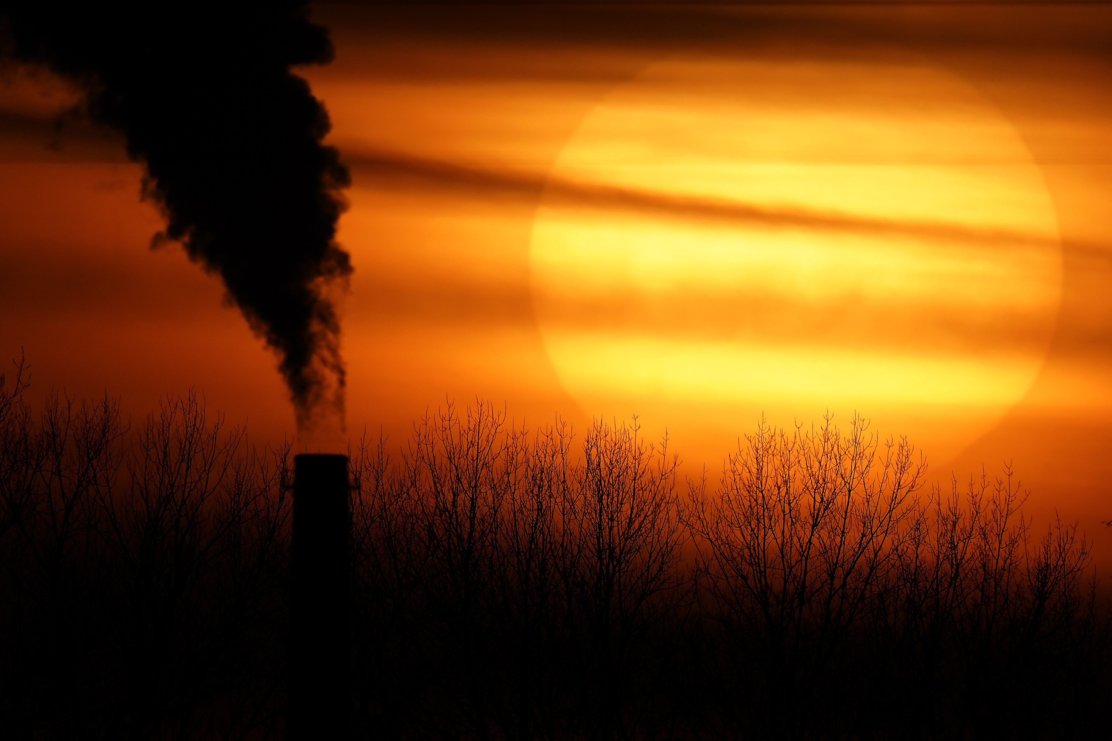 Air pollution causes chess players to make more mistakes, study finds, Air  pollution