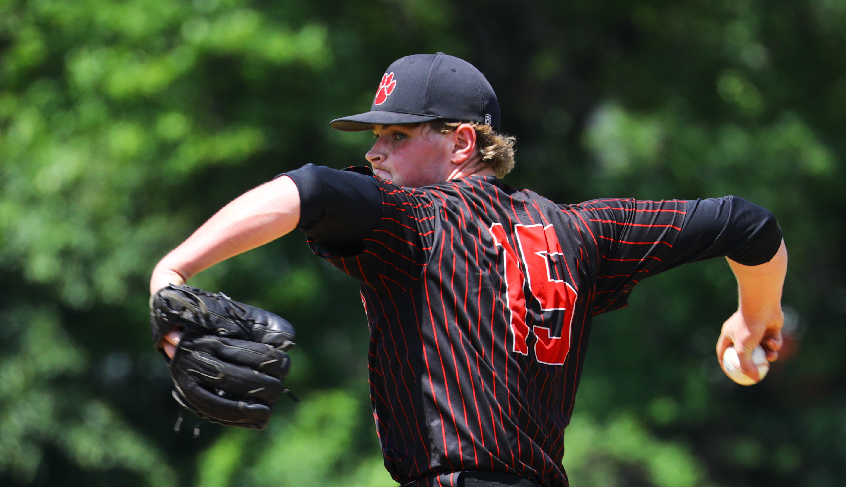 Breaking down the North and South brackets for the MIAA baseball