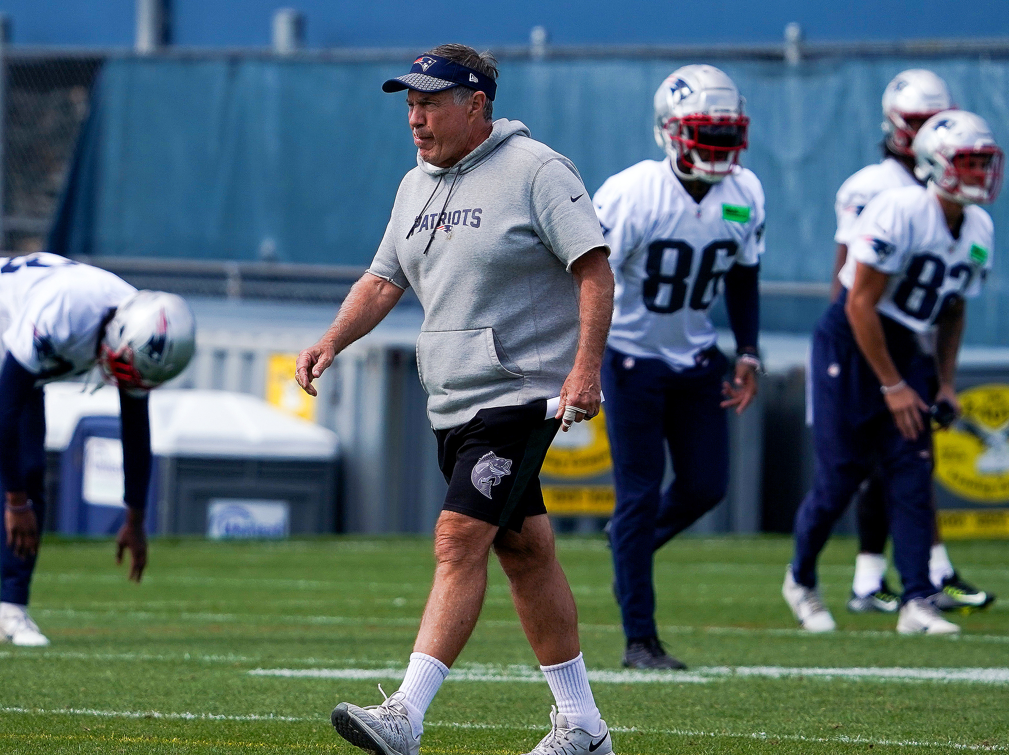 Patriots quarterback Brian Hoyer and coach Bill Belichick reflect on  Packers, iconic Lambeau Field - The Boston Globe