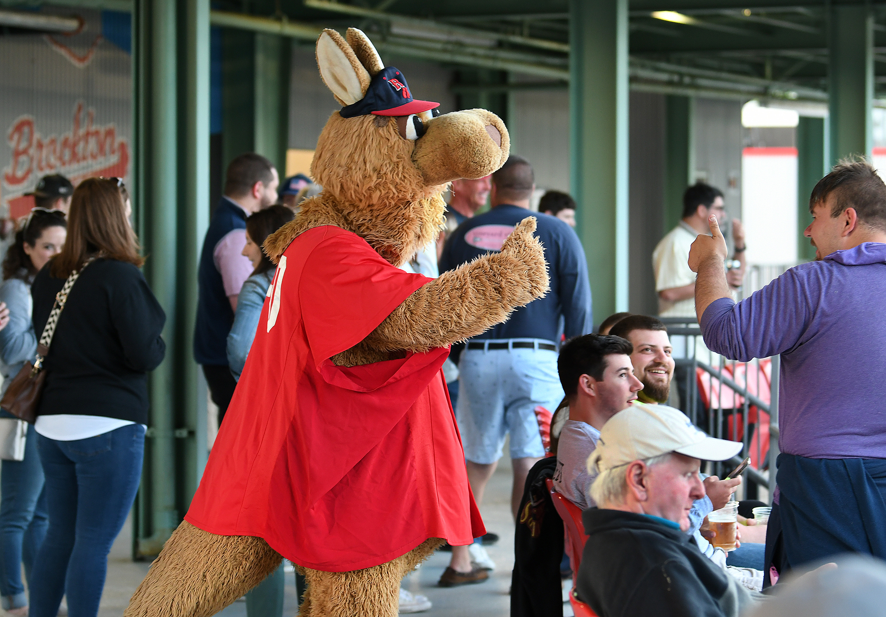 Why are five sons of former major league stars playing in Brockton? For the  love of baseball. - The Boston Globe