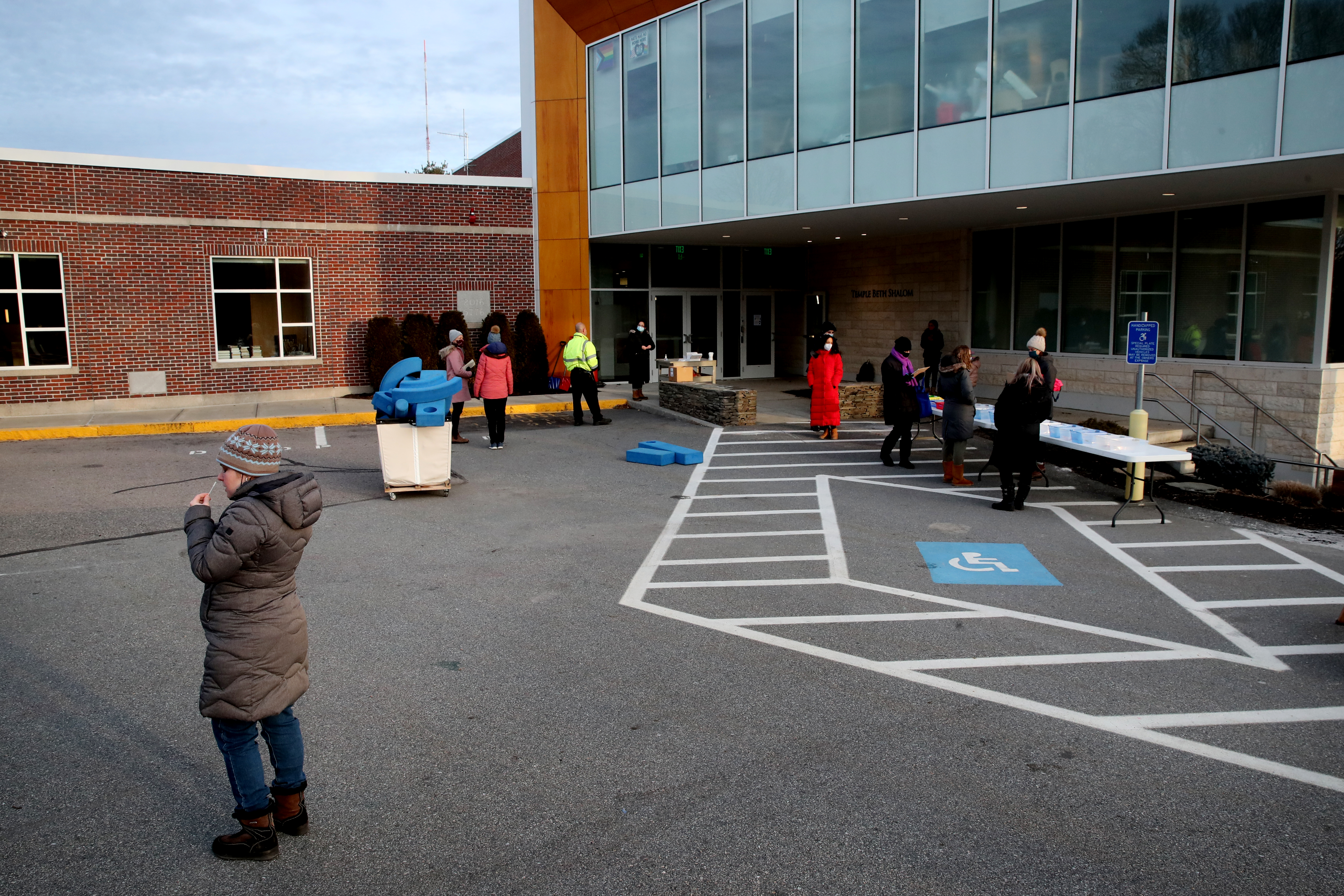 Specimens were collected at Temple Beth Shalom in Needham.